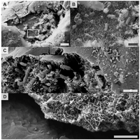 Minerals 04 00170 g004 200