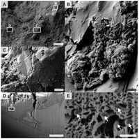 Minerals 04 00170 g006 200