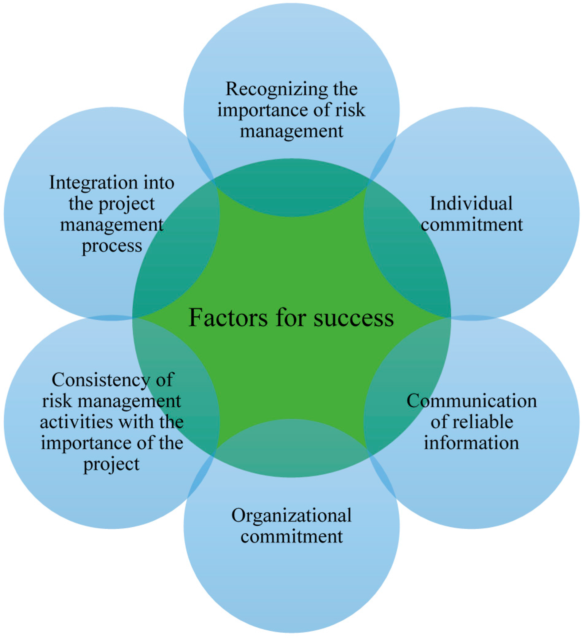 project risk management case studies project risk management case studies