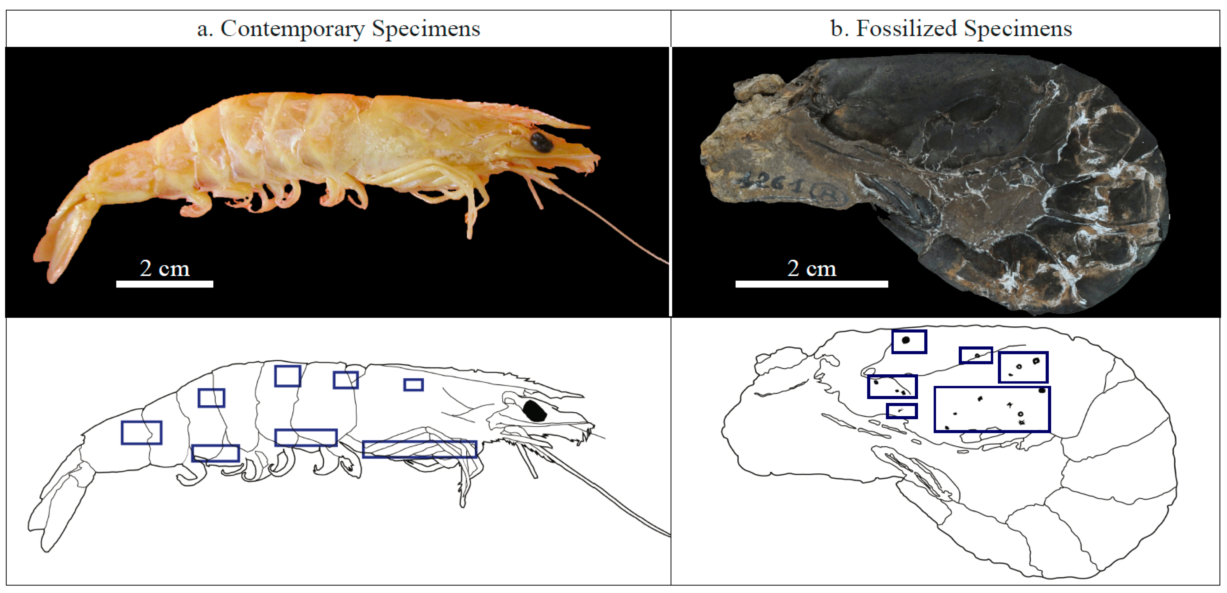Minerals 05 00488 g001