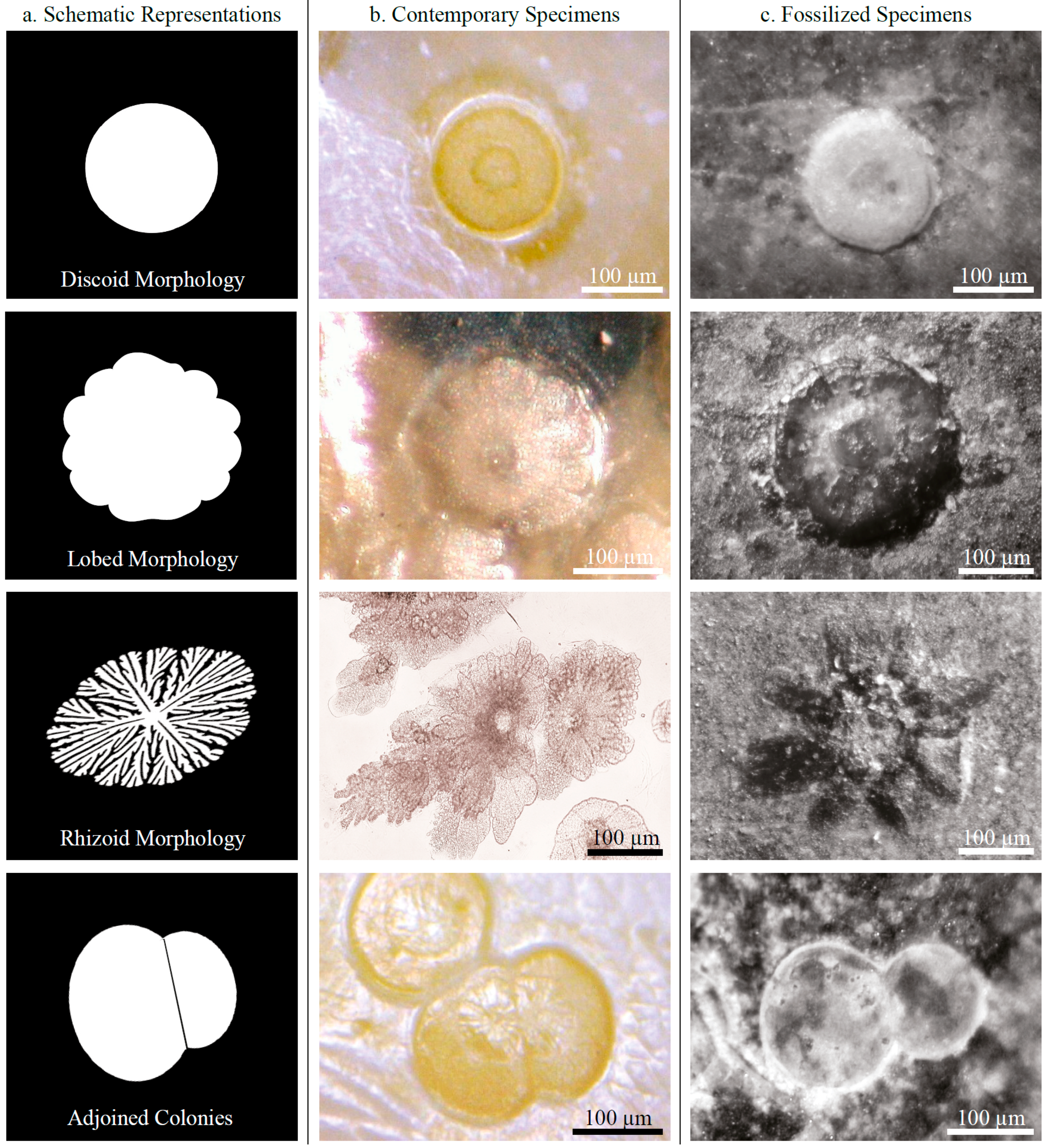 Minerals 05 00488 g002