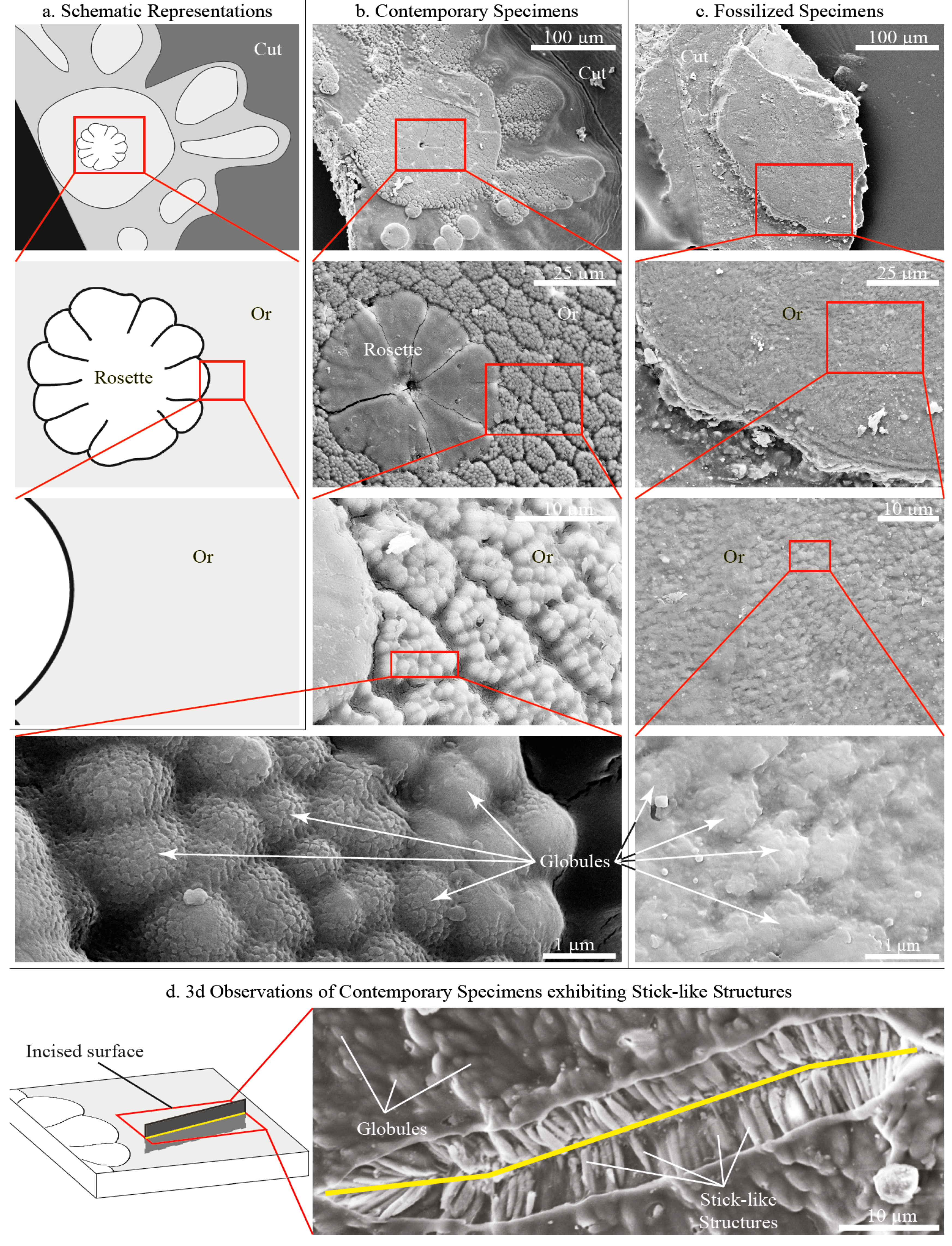 Minerals 05 00488 g003