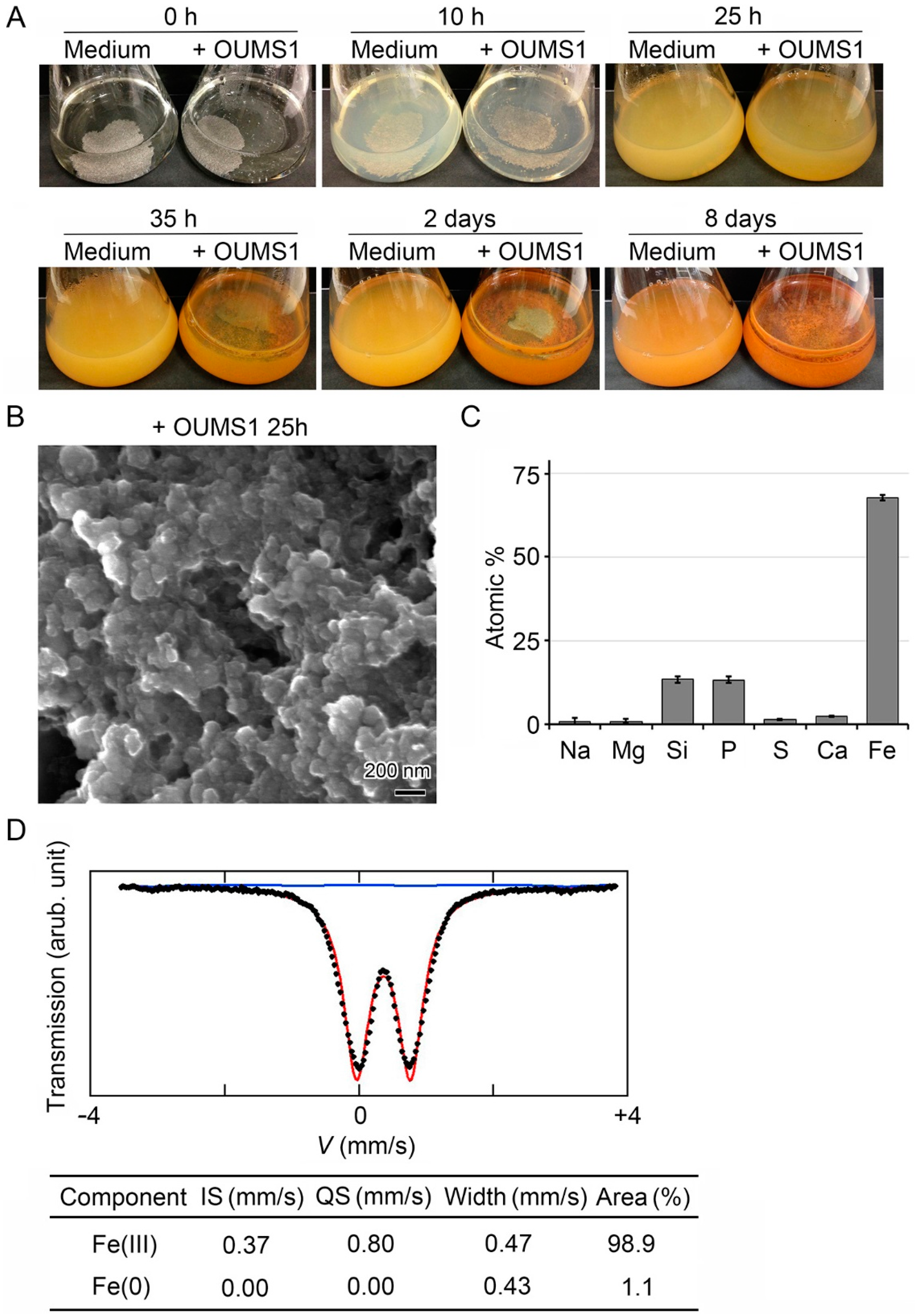 Minerals 06 00004 g002