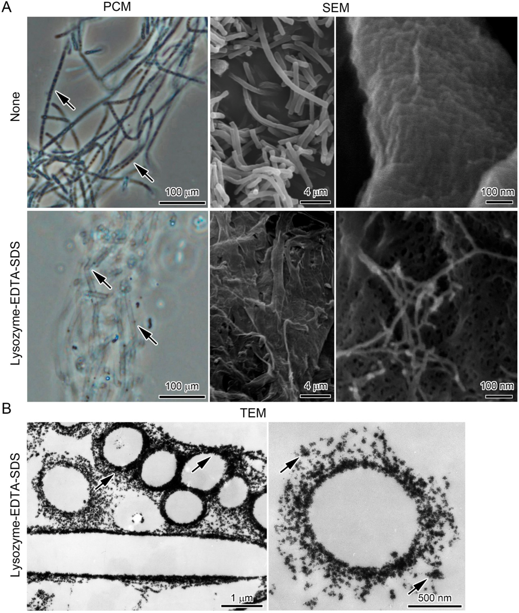 Minerals 06 00004 g005