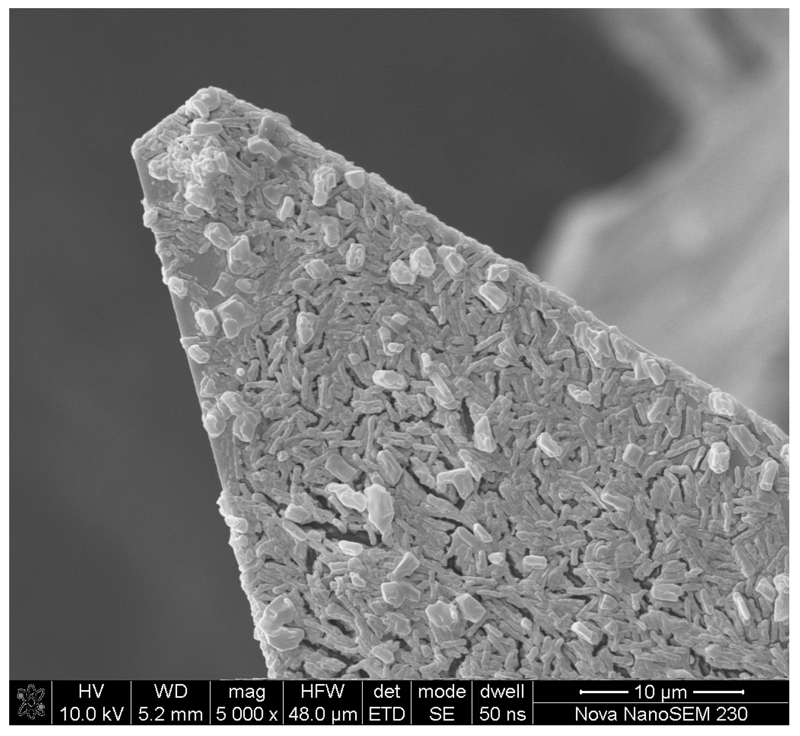 Minerals 06 00100 g001