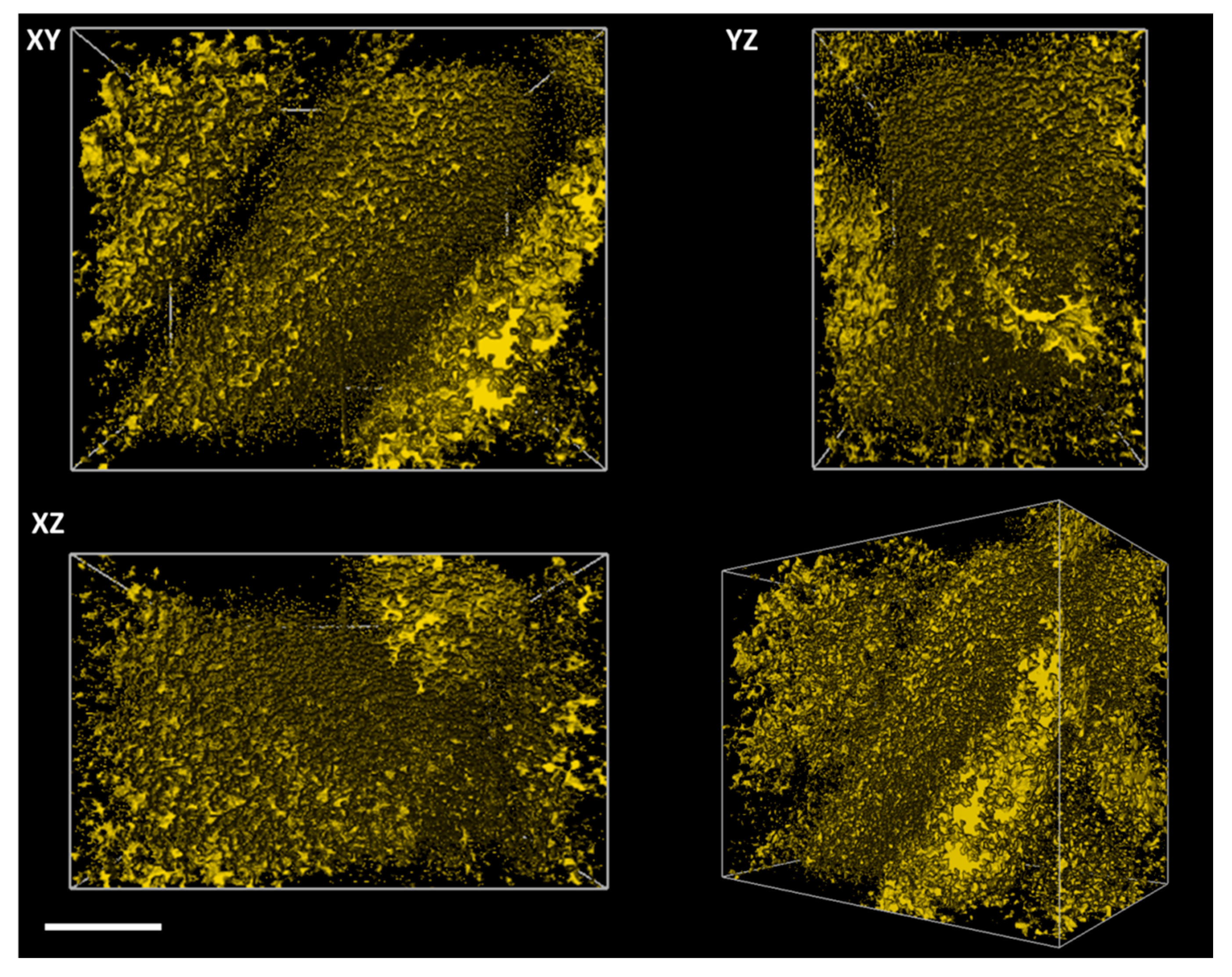 Minerals 06 00104 g010