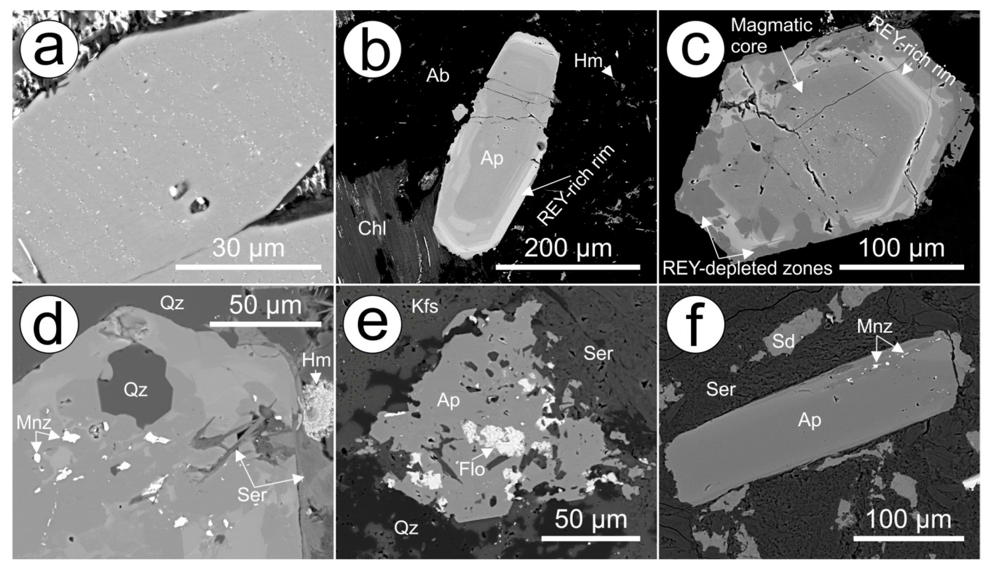 fat detection taste texture and post ingestive effects frontiers in