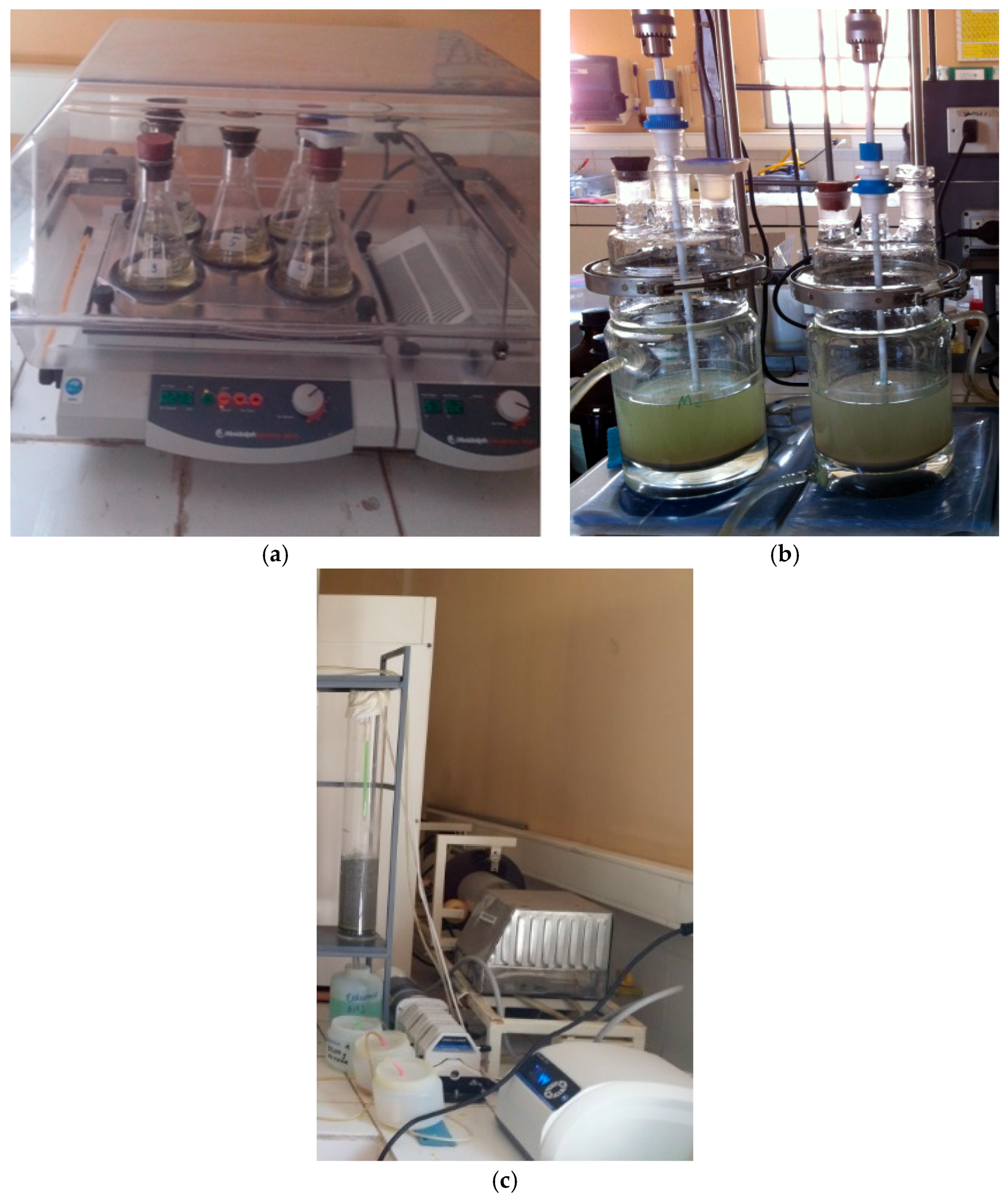 Minerals 08 00001 g001