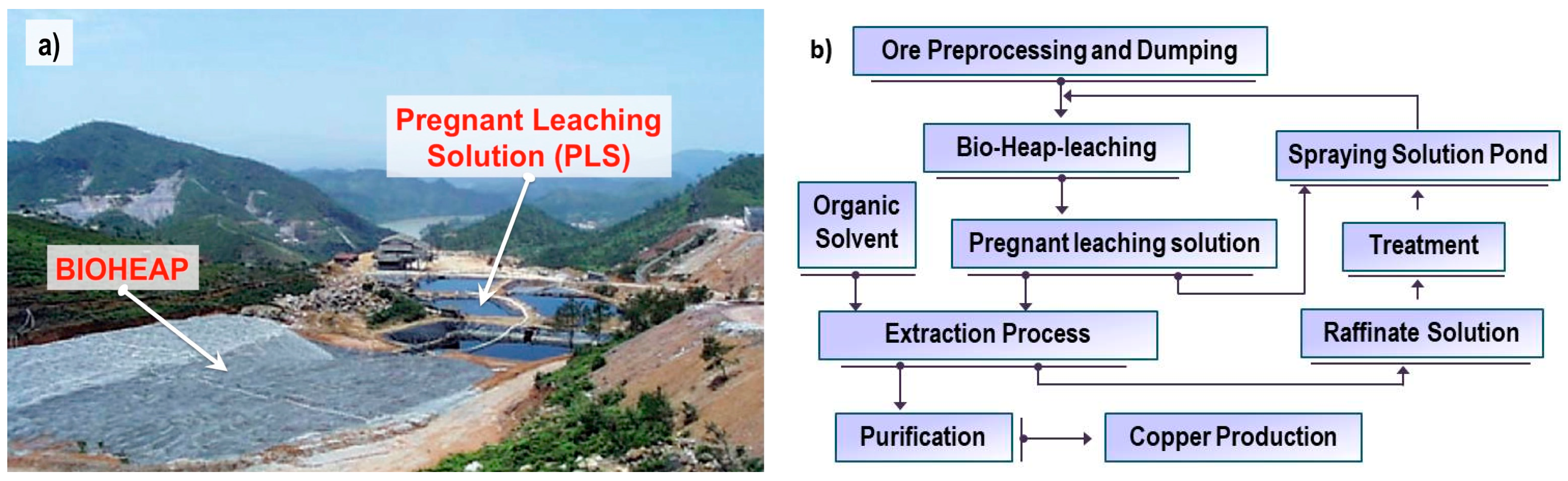 bioleaching of gold ores How does bio heap leaching work zinc and refractory gold ores are all suited to bioheap leaching application of heap bioleaching of refractory gold ores. bioleaching of gold ores How does bio heap leaching work zinc and refractory gold ores are all suited to bioheap leaching application of heap bioleaching of refractory gold ores.