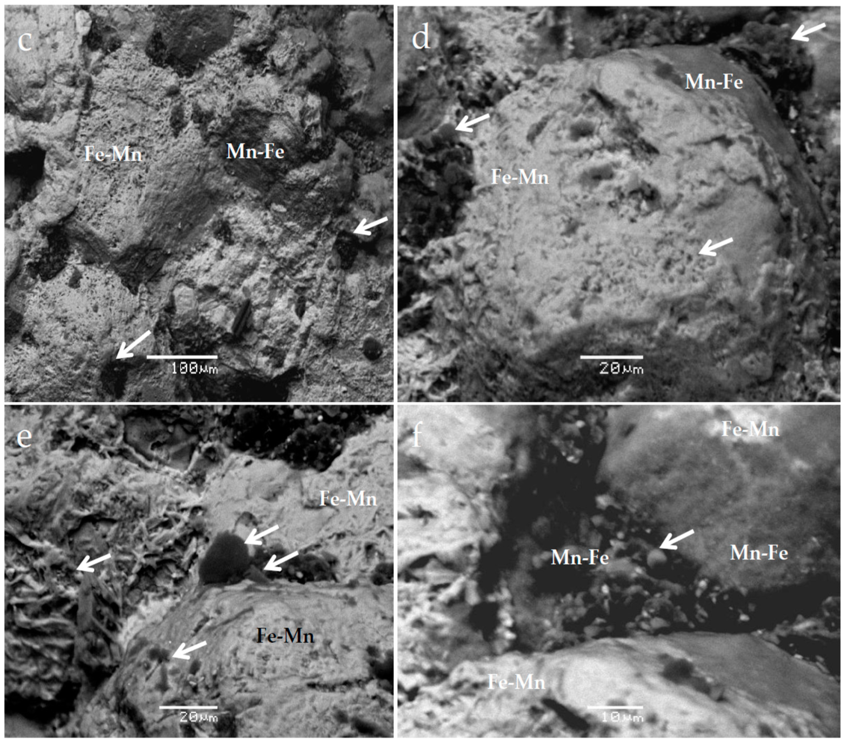 Minerals 08 00107 g003b