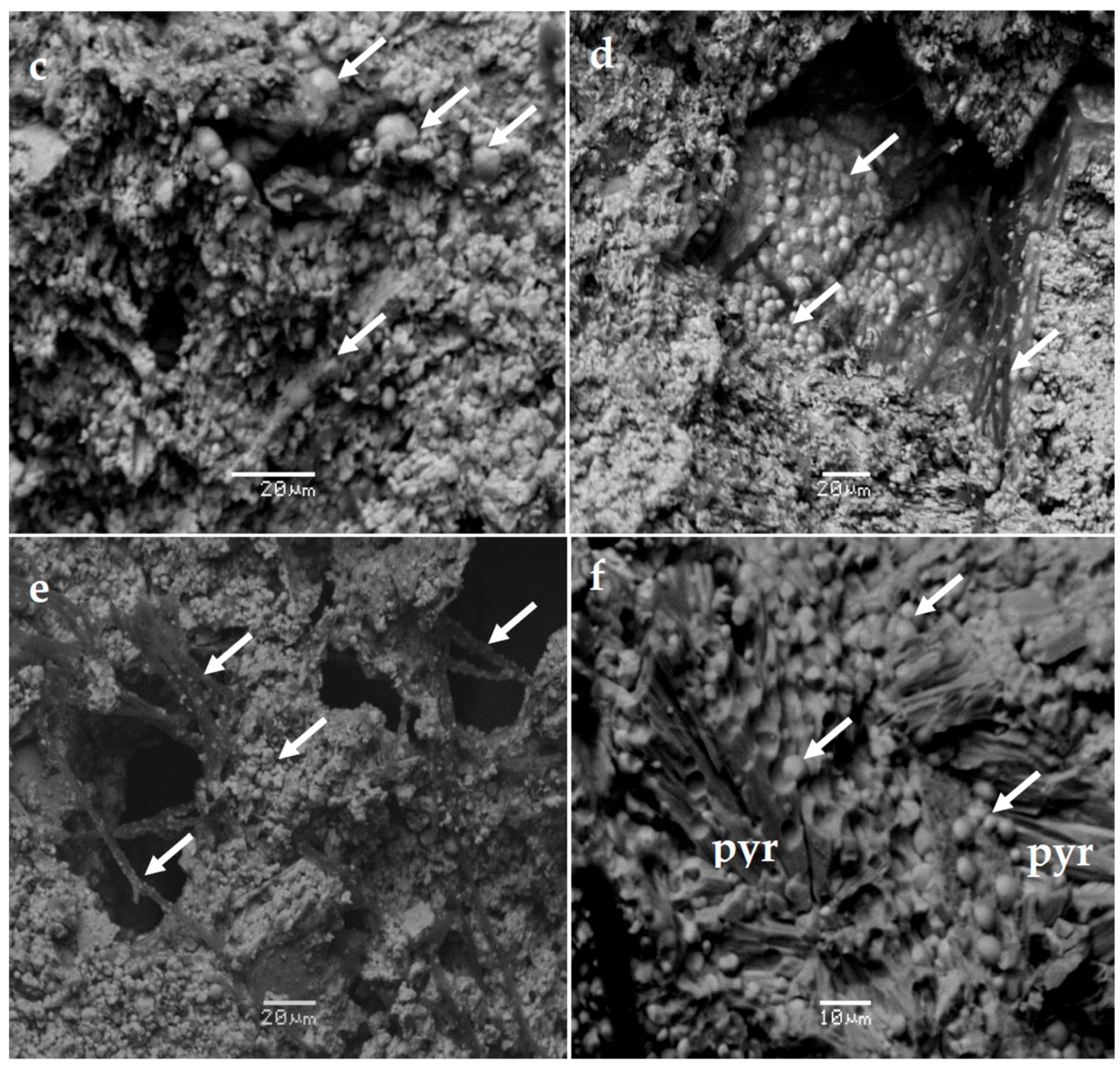 Minerals 08 00107 g005b