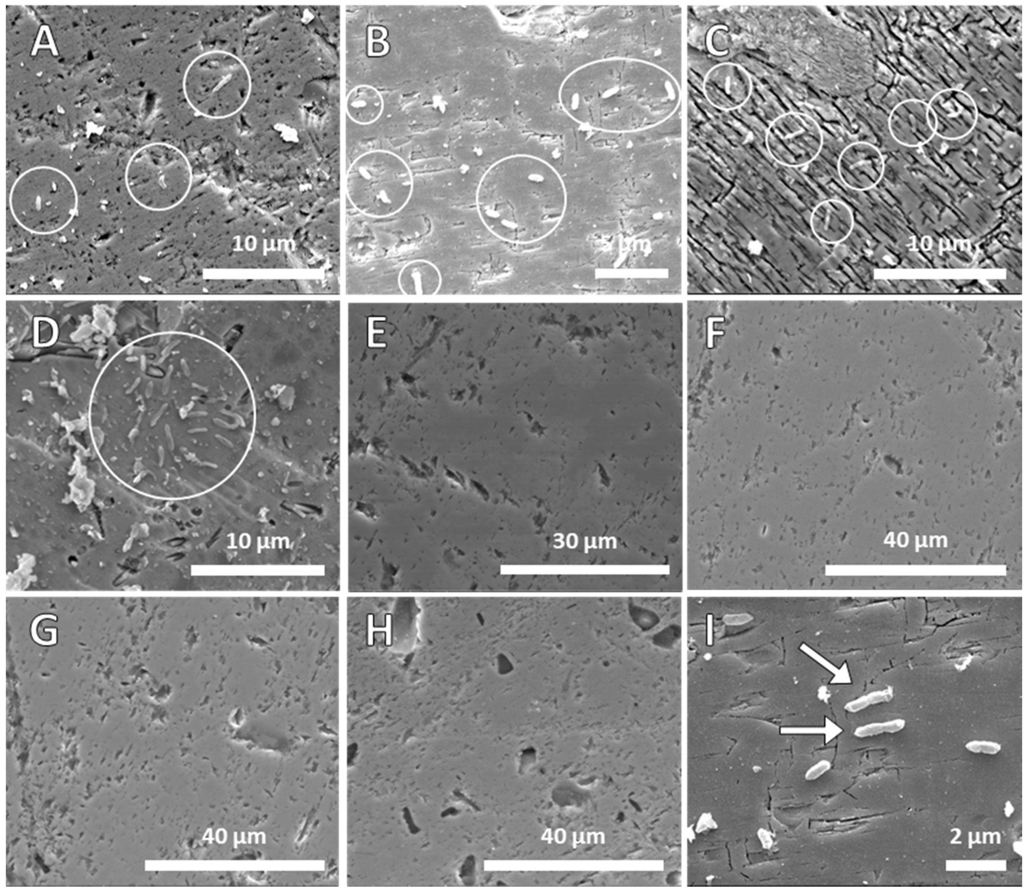 crystals research paper What is the piezoelectric effect research groups in the us and bone (dry bone exhibits some piezoelectric properties due to the apatite crystals, and the. crystals research paper What is the piezoelectric effect research groups in the us and bone (dry bone exhibits some piezoelectric properties due to the apatite crystals, and the.