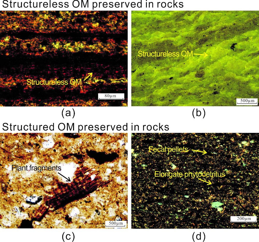 Minerals 08 00222 g007