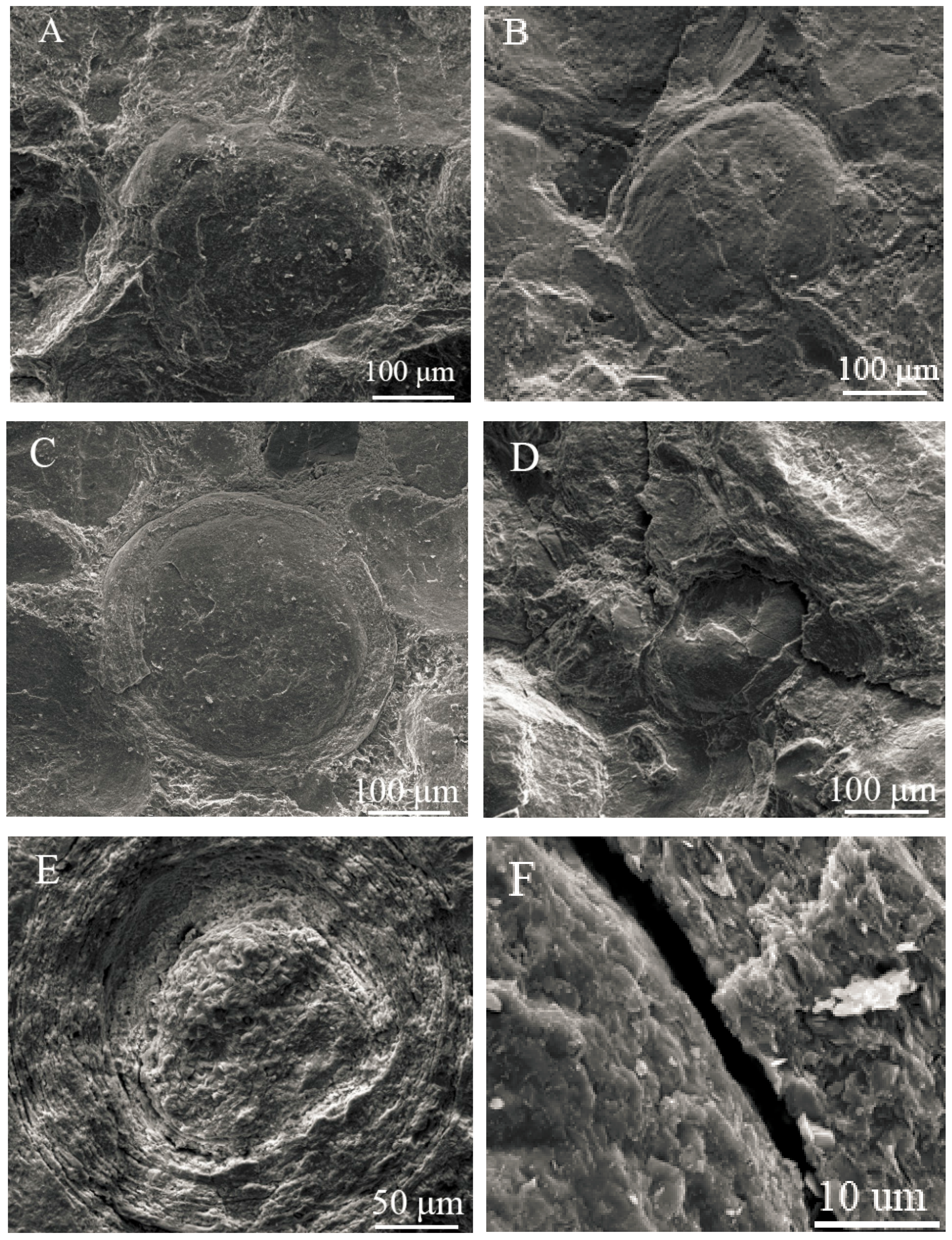 Minerals 08 00245 g003