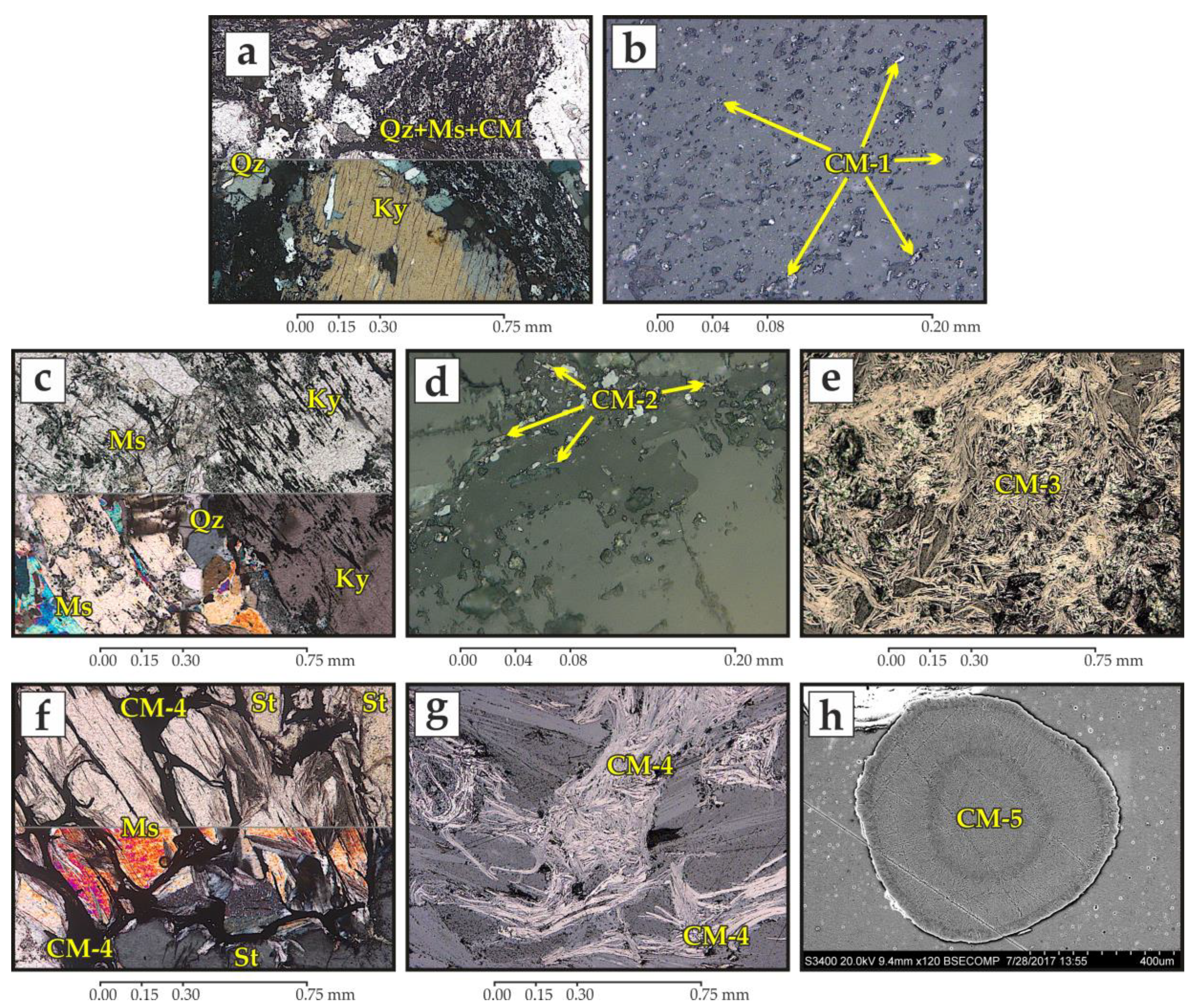 Minerals 09 00094 g004