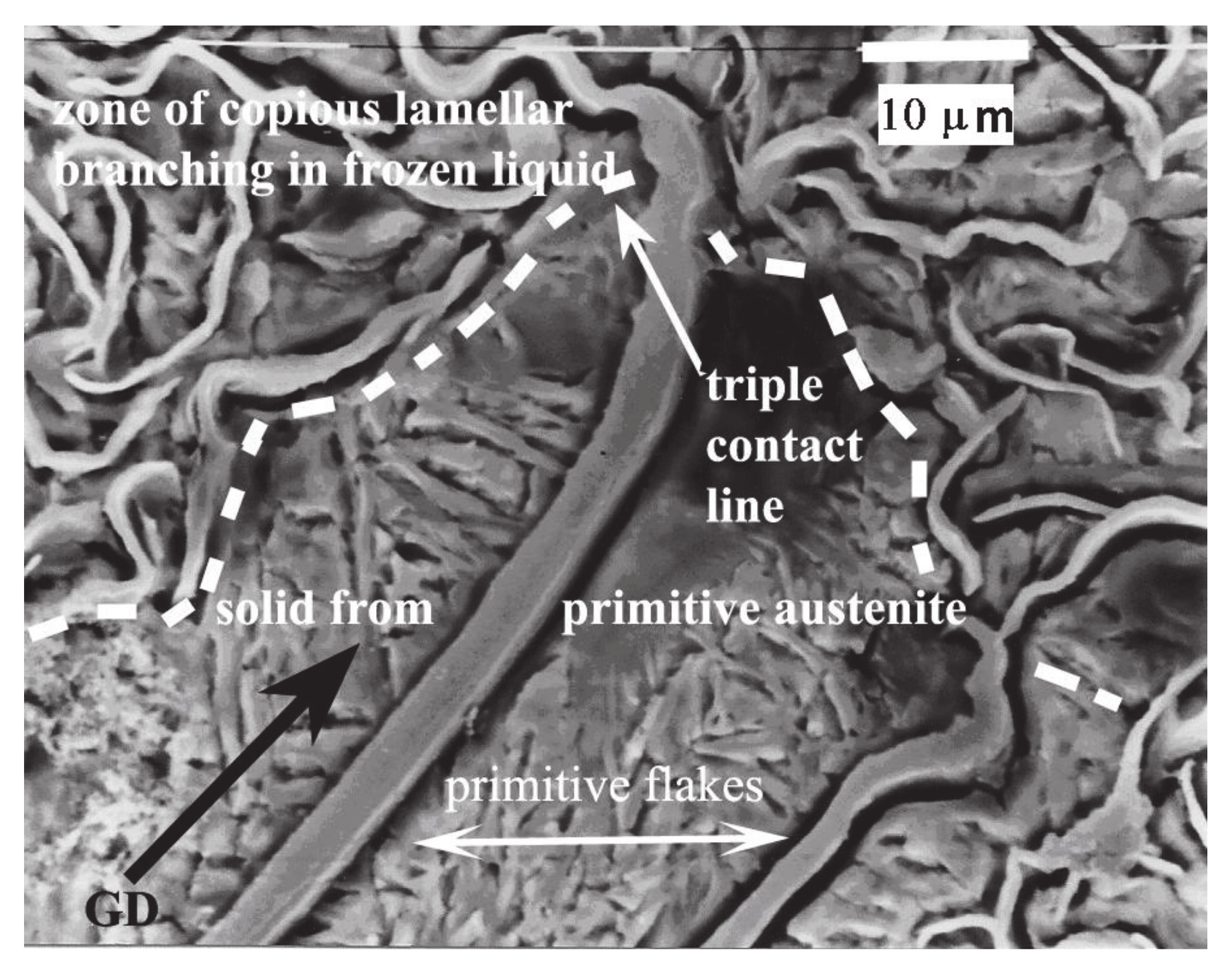 Minerals 11 00109 g009