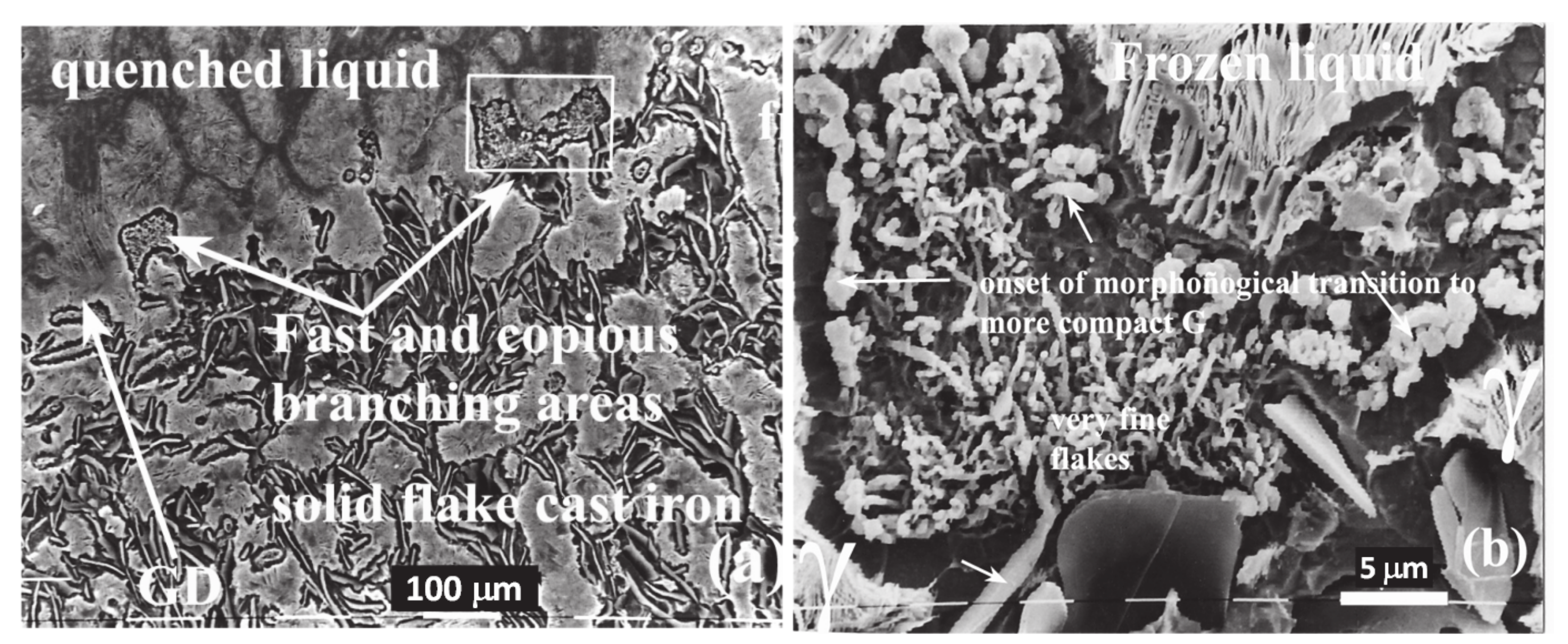 Minerals 11 00109 g010a