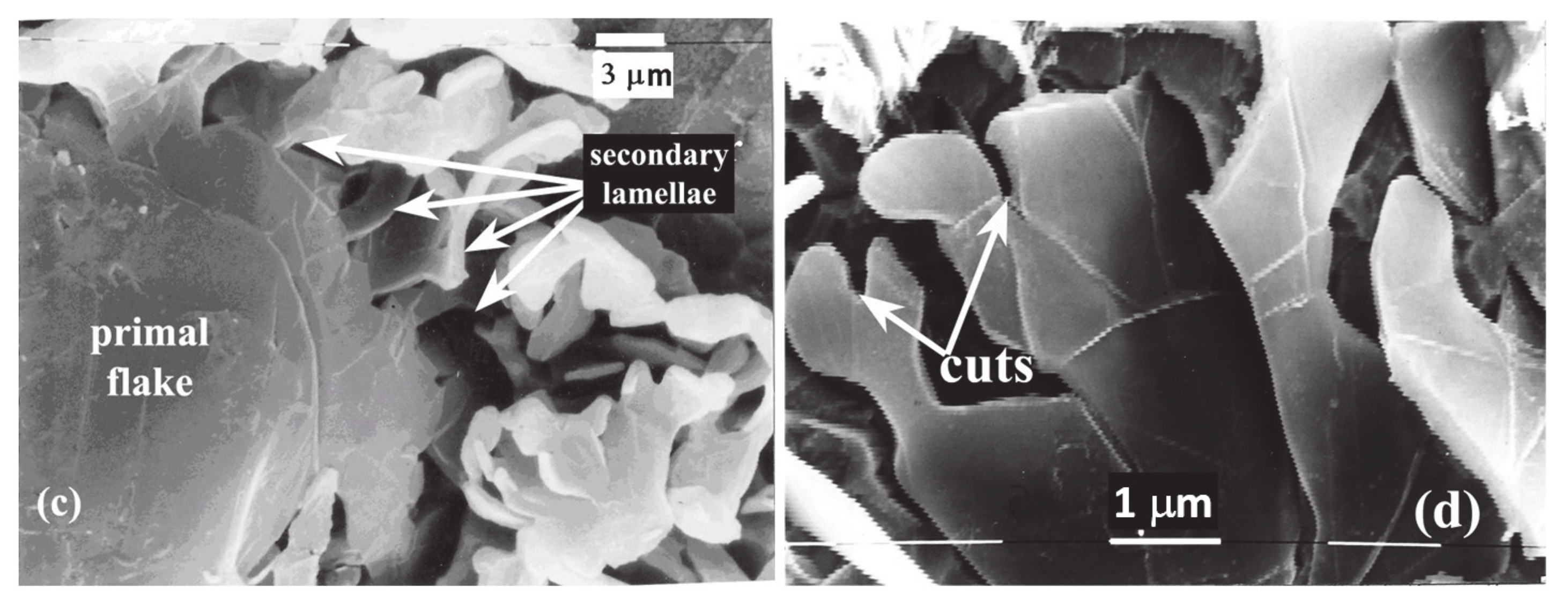 Minerals 11 00109 g010b