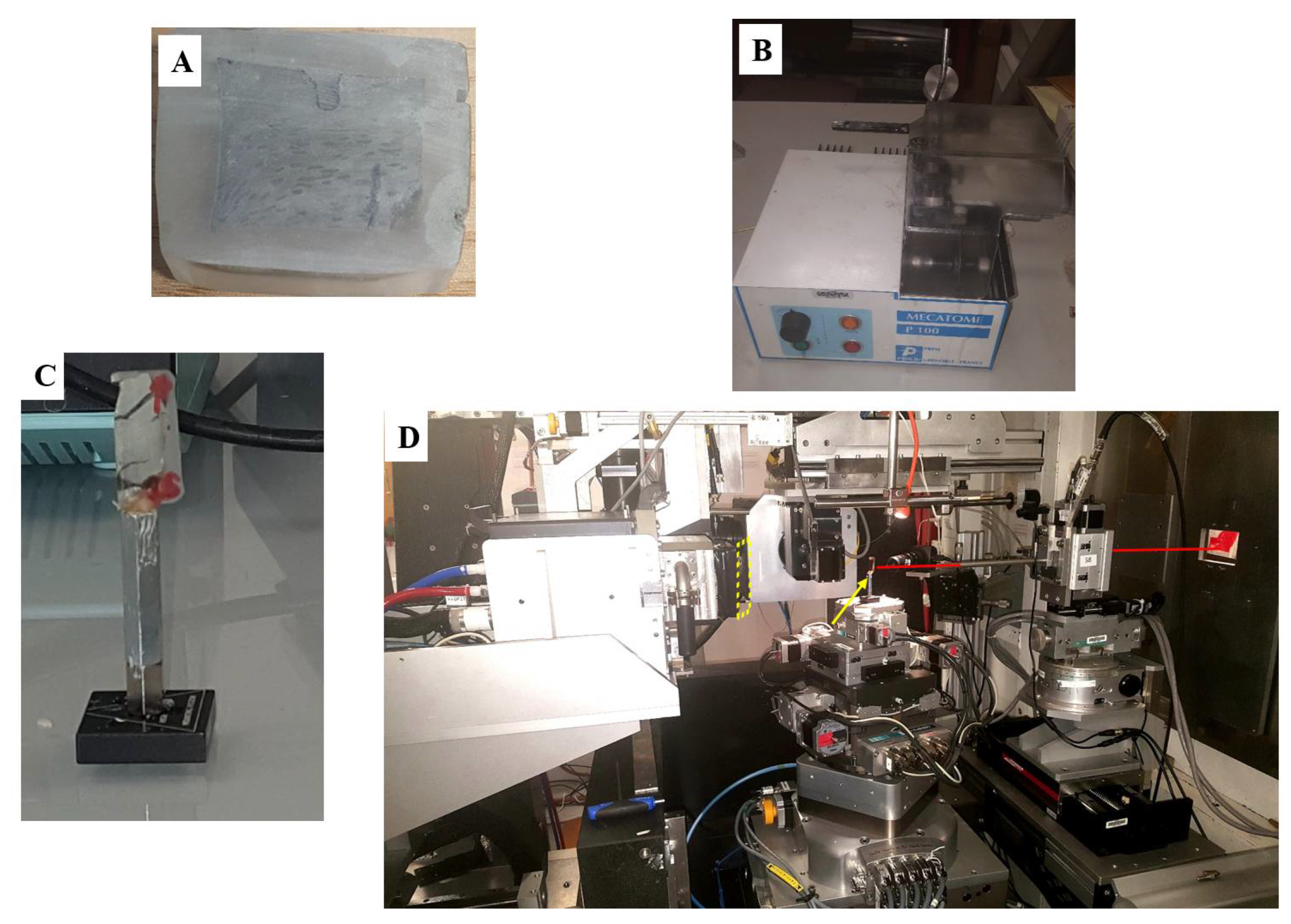 Minerals 11 00653 g001