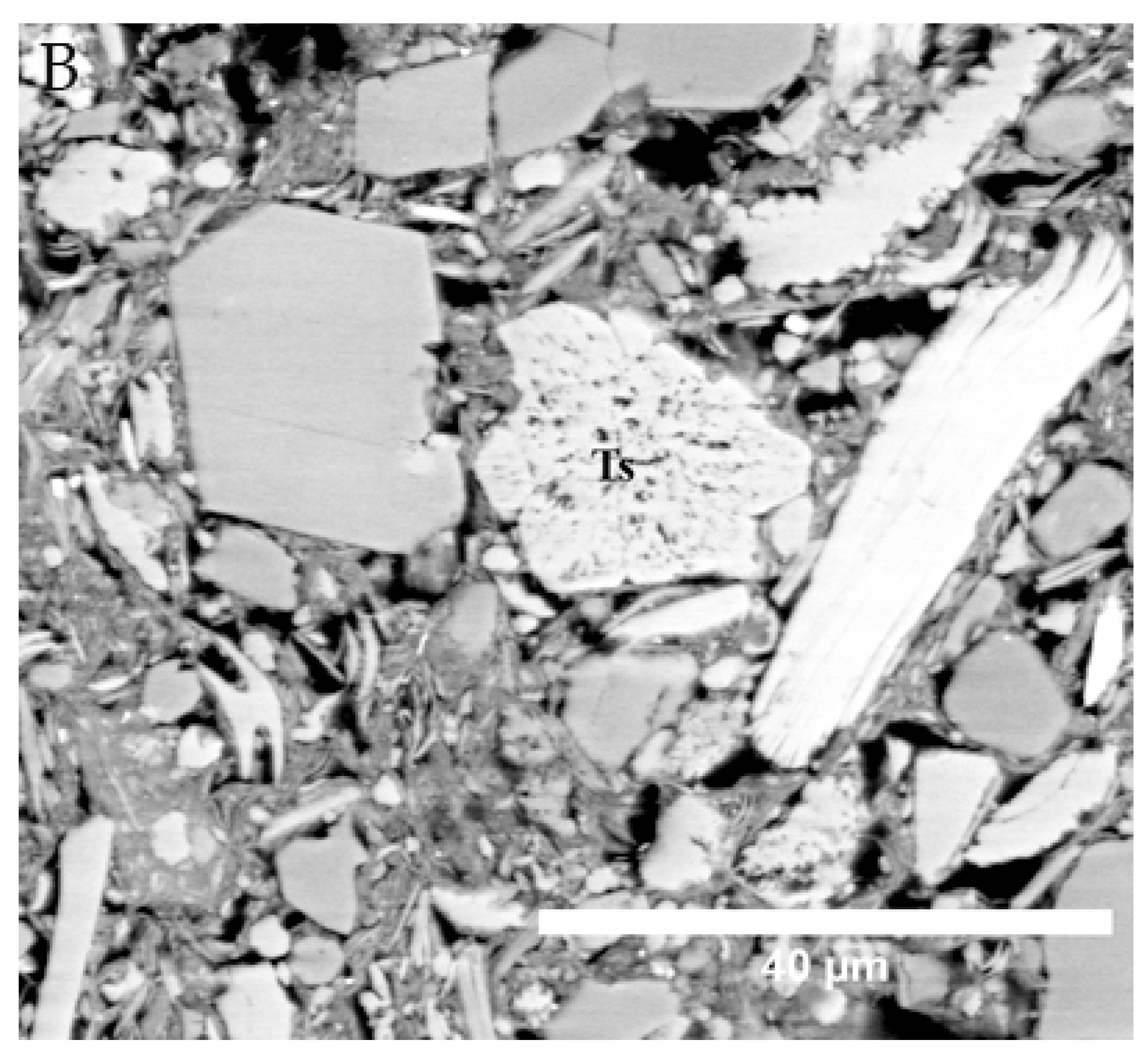 Minerals 11 00653 g010b