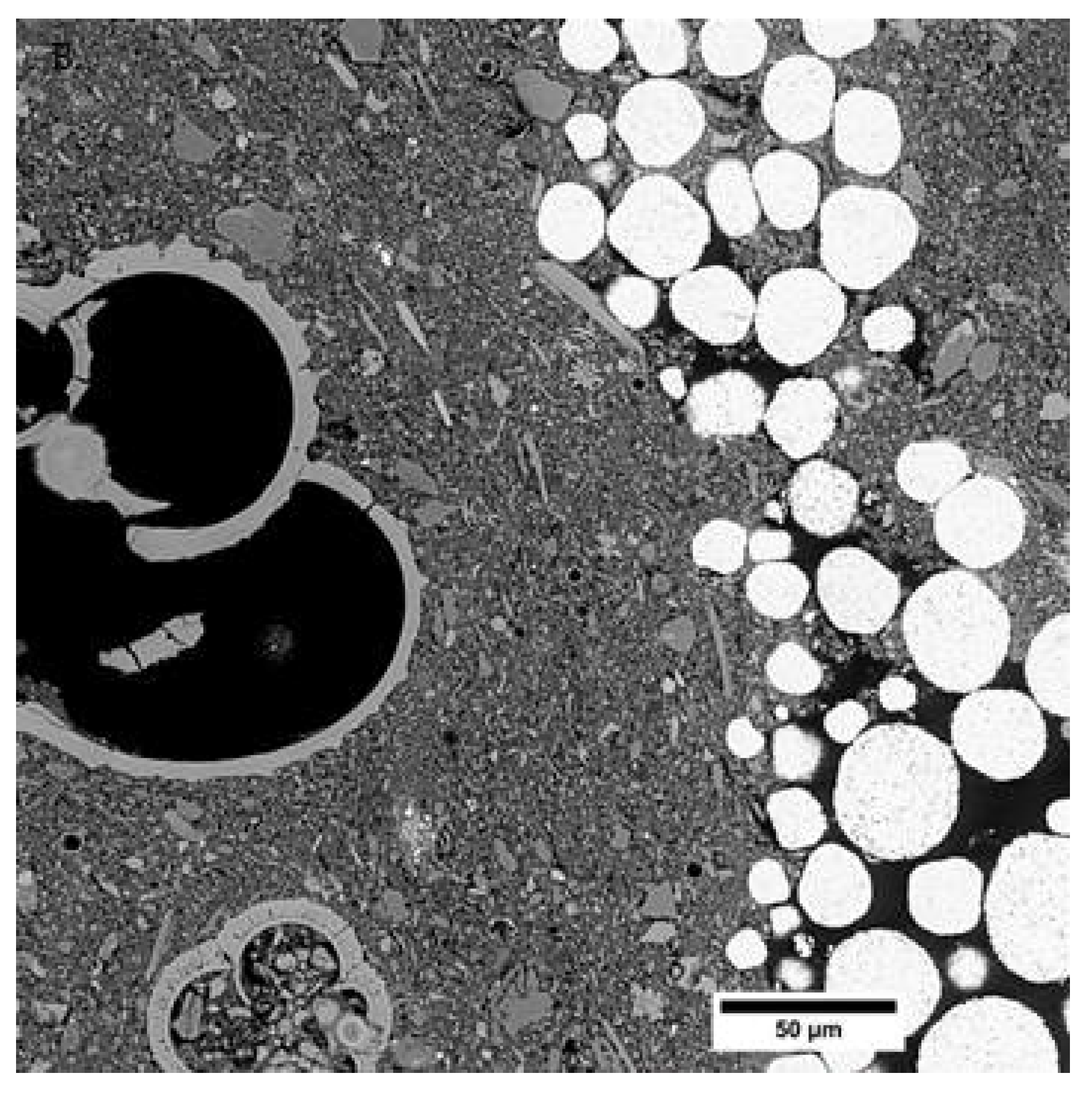 Minerals 11 00653 g011b