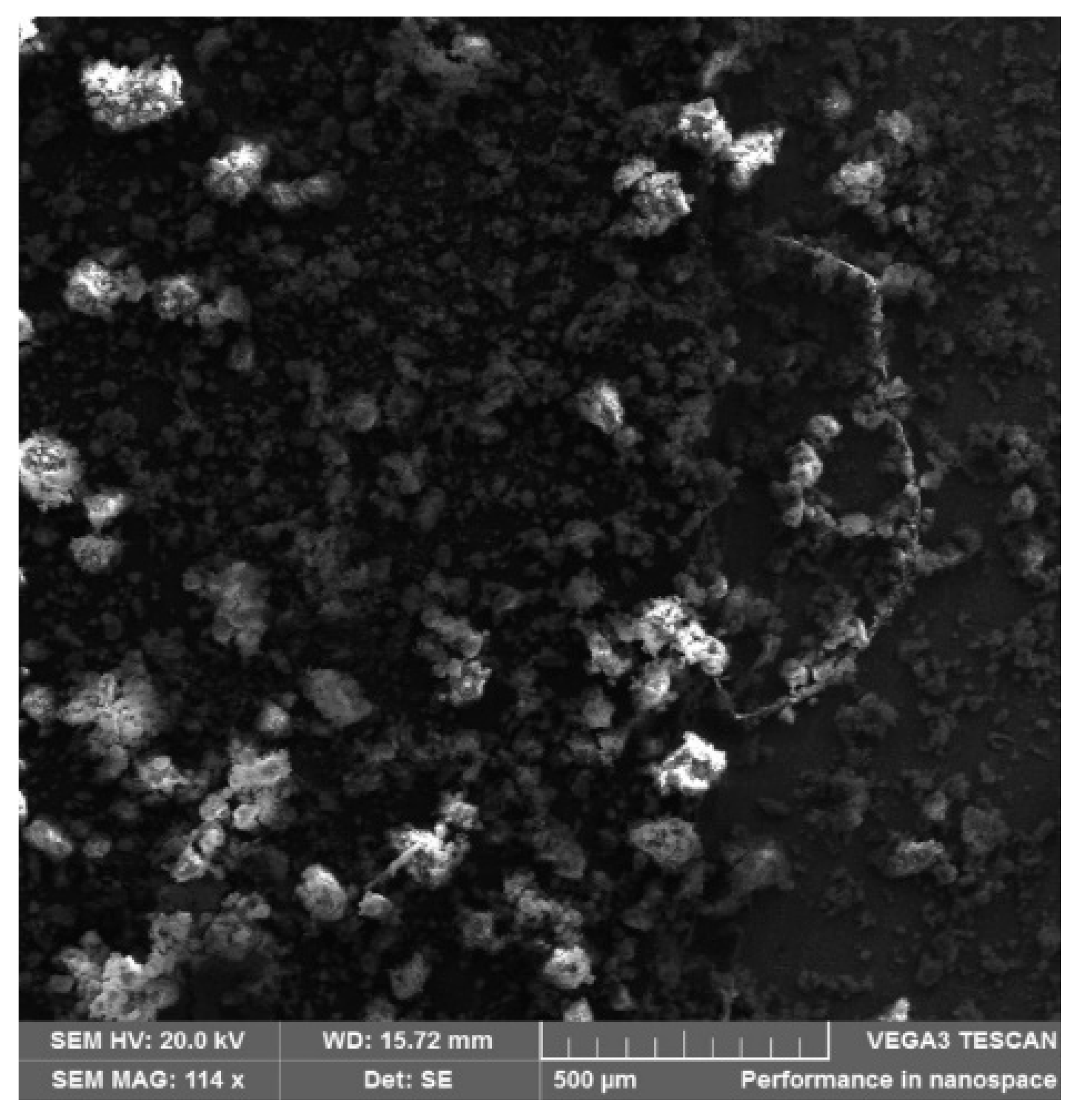 Minerals 11 00884 g001