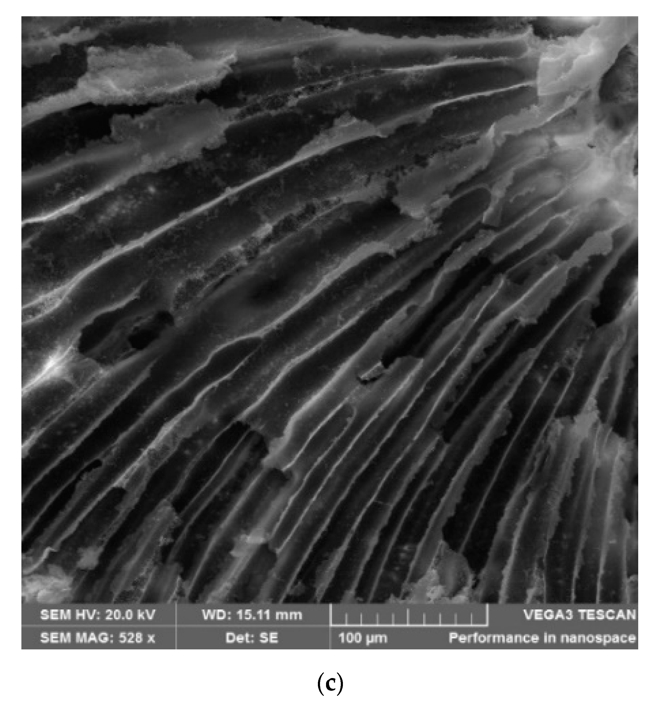 Minerals 11 00884 g003b