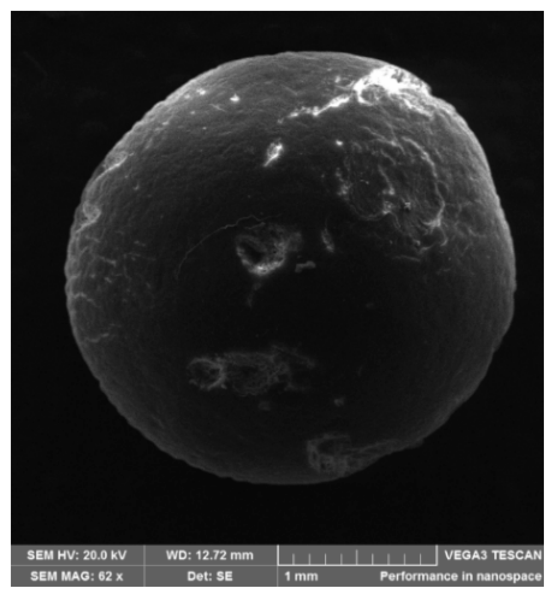 Minerals 11 00884 g004