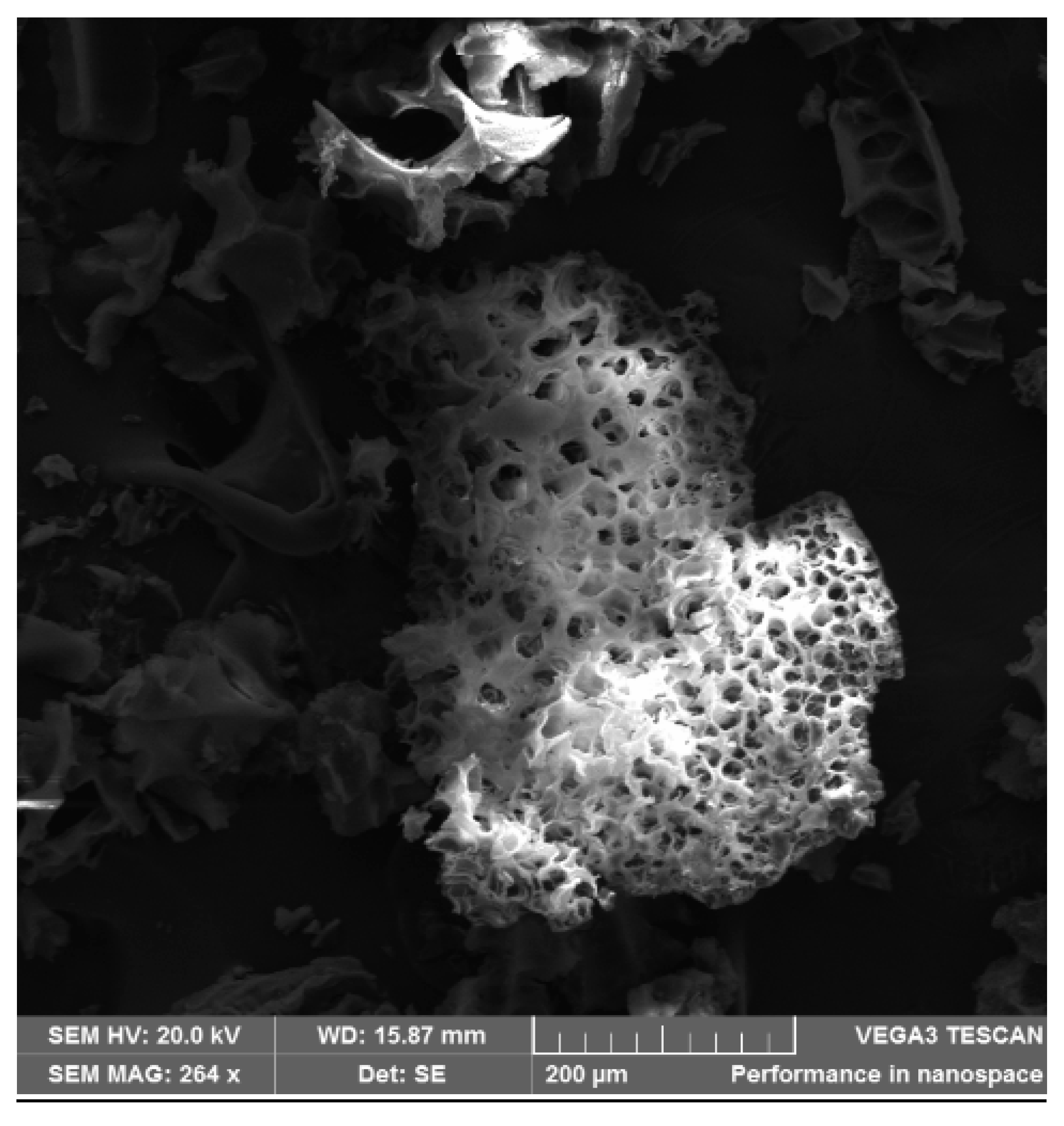 Minerals 11 00884 g008