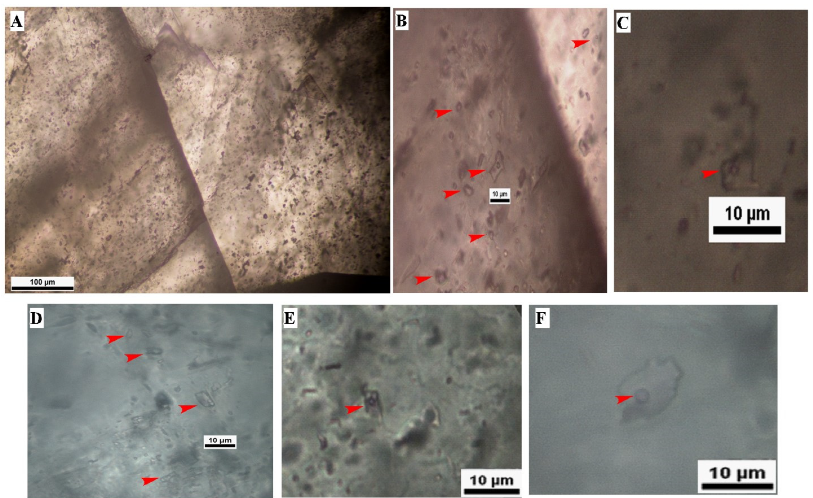Minerals 12 01320 g009
