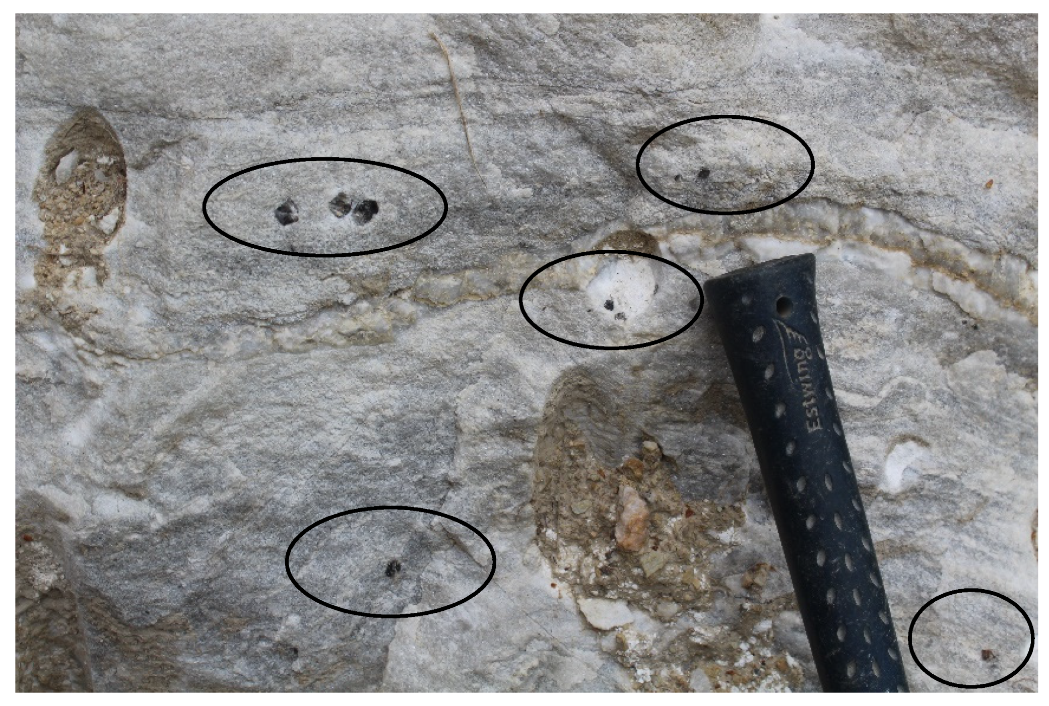 Minerals 12 01449 g005