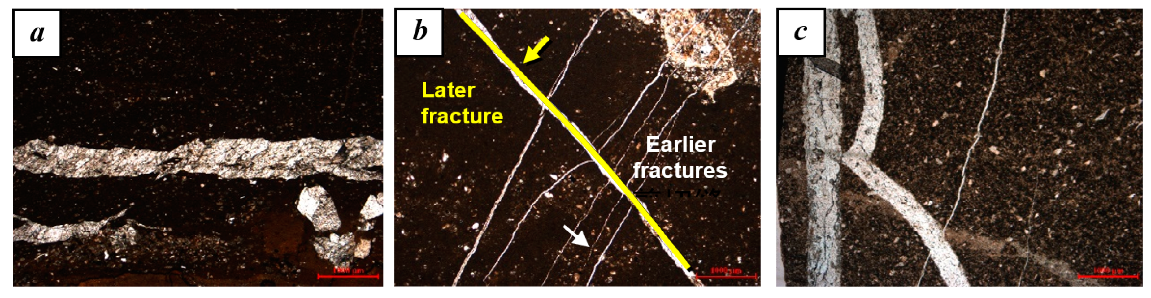 Minerals 13 00894 g006