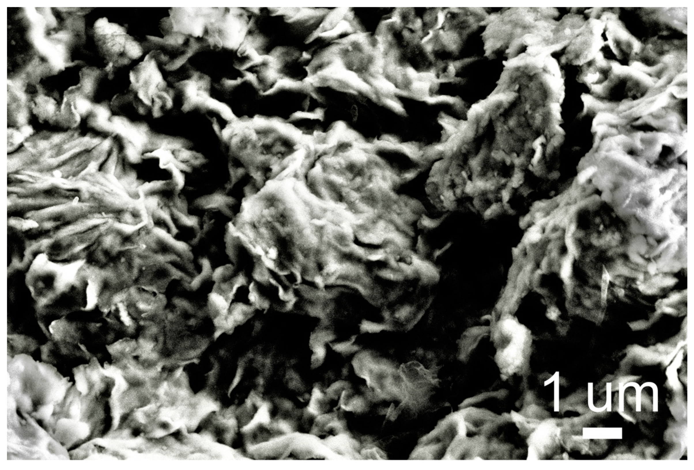 Minerals 14 00268 g003