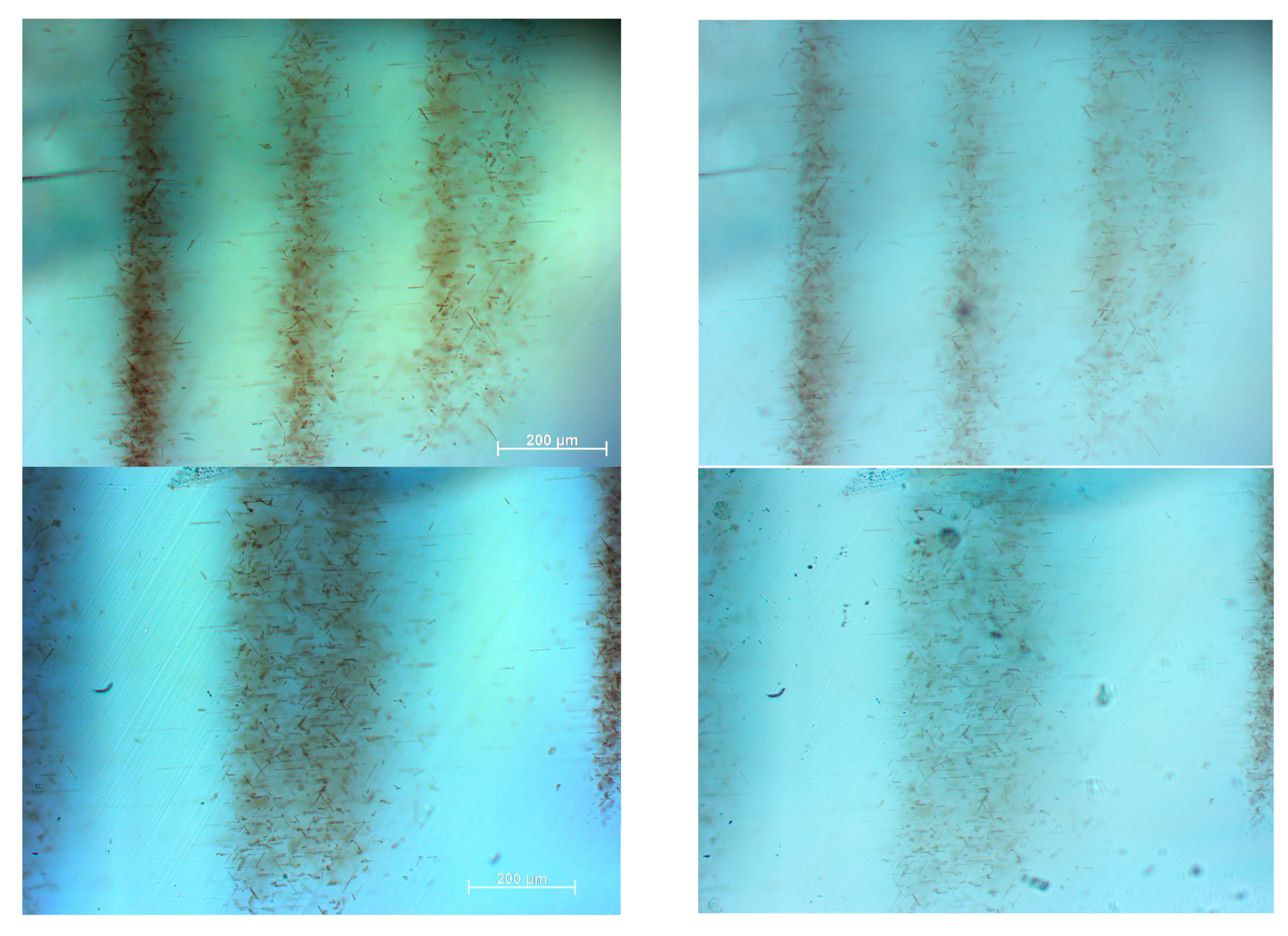 Minerals 14 00333 g005a