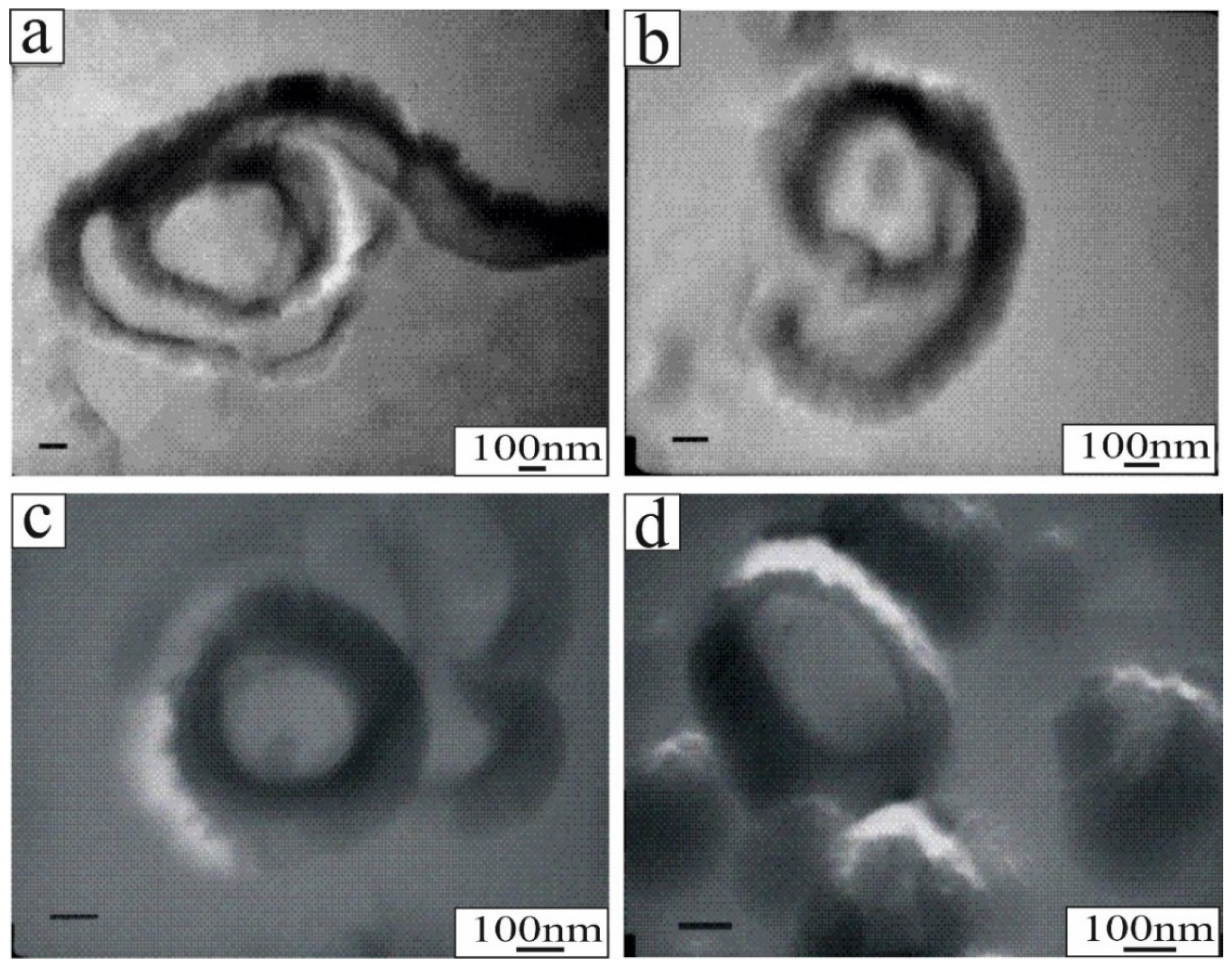 Minerals 14 00353 g002