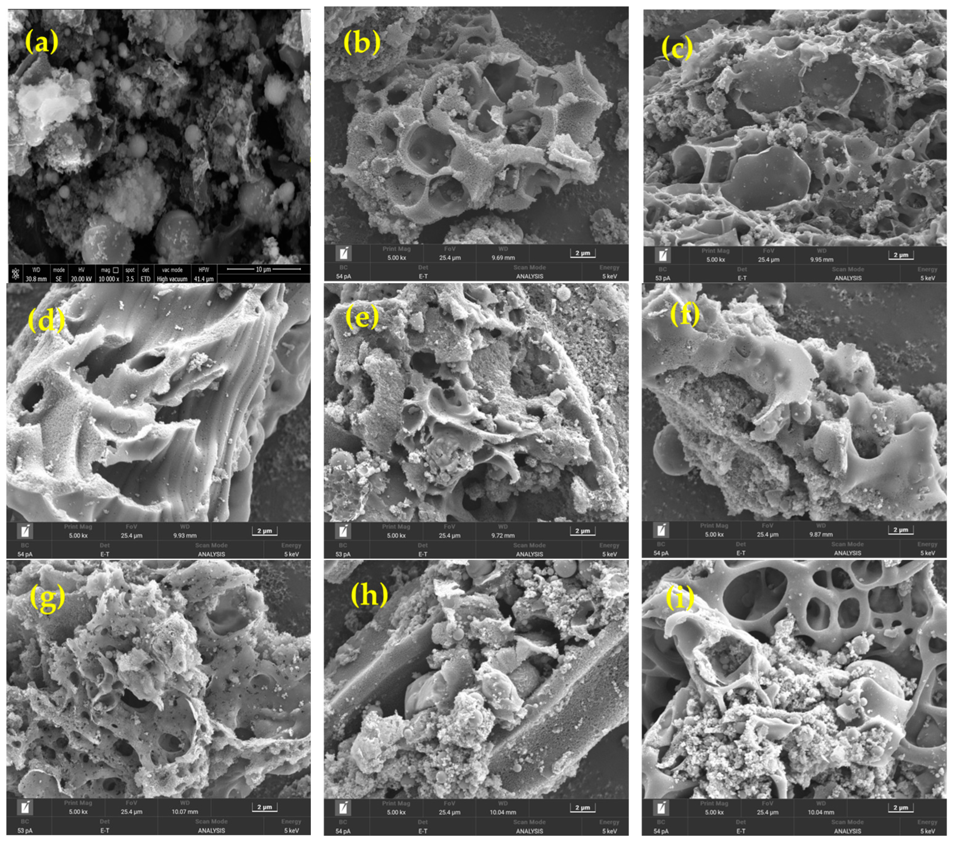 Minerals 14 00363 g008
