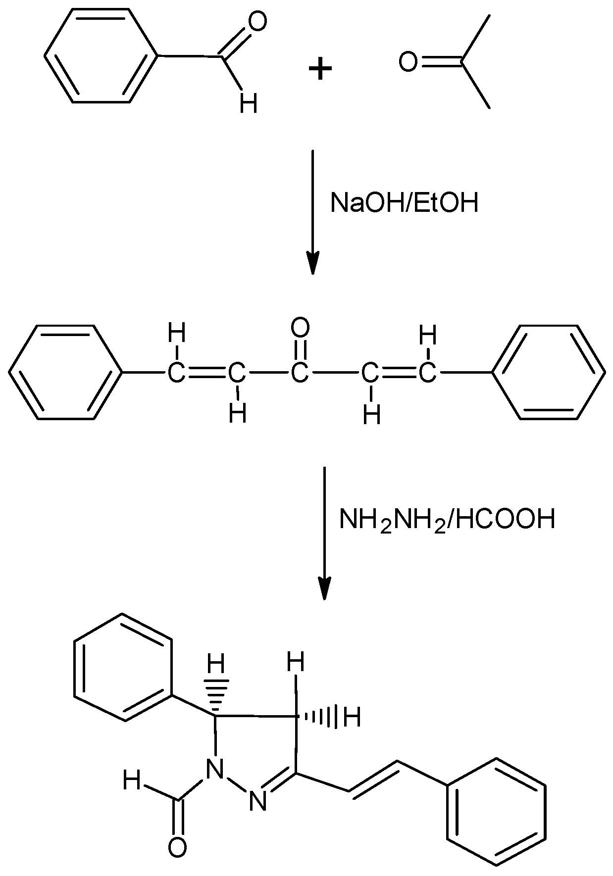 Molbank 2009 m614 sch001