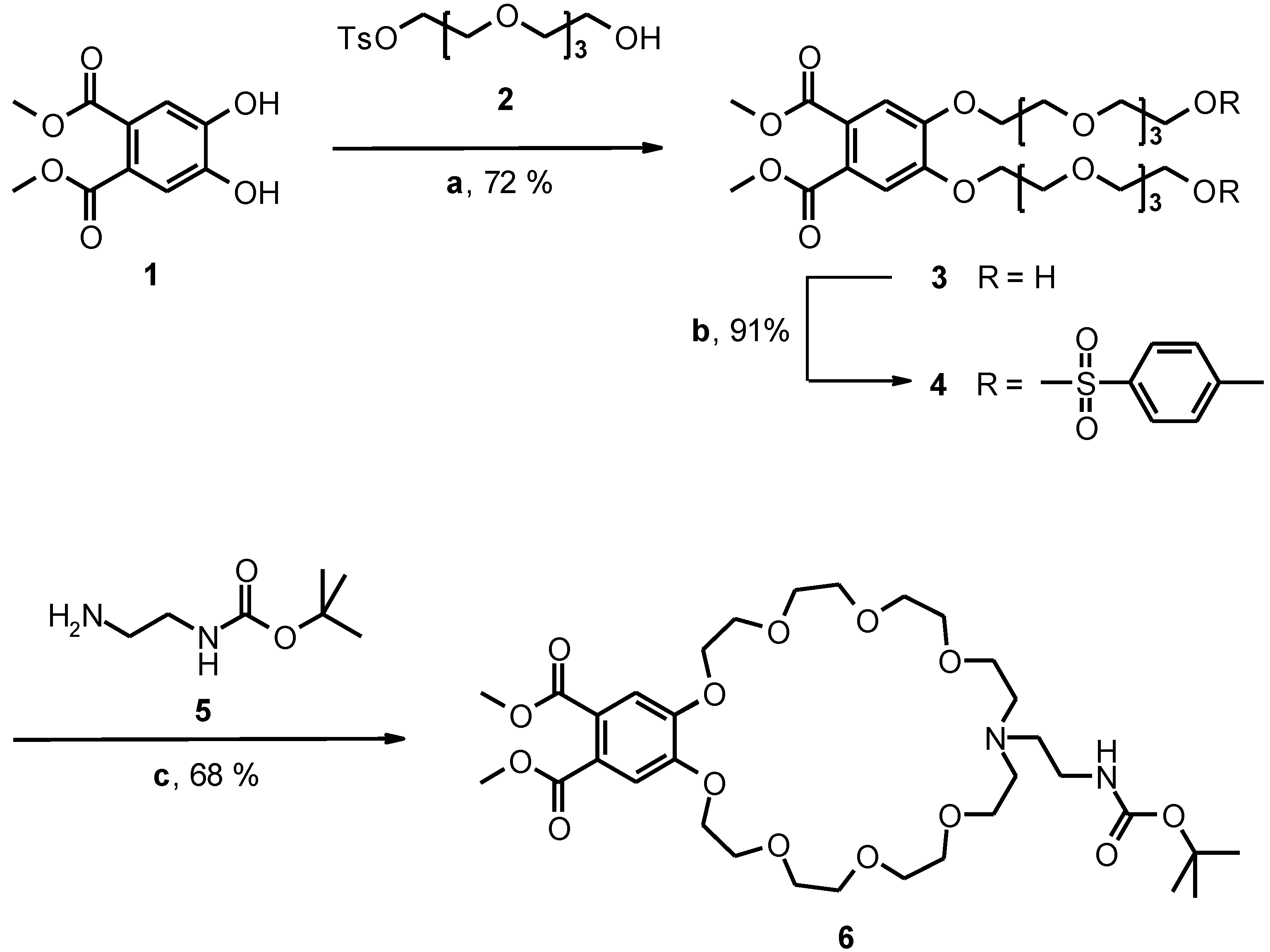Molbank 2010 m660 sch001