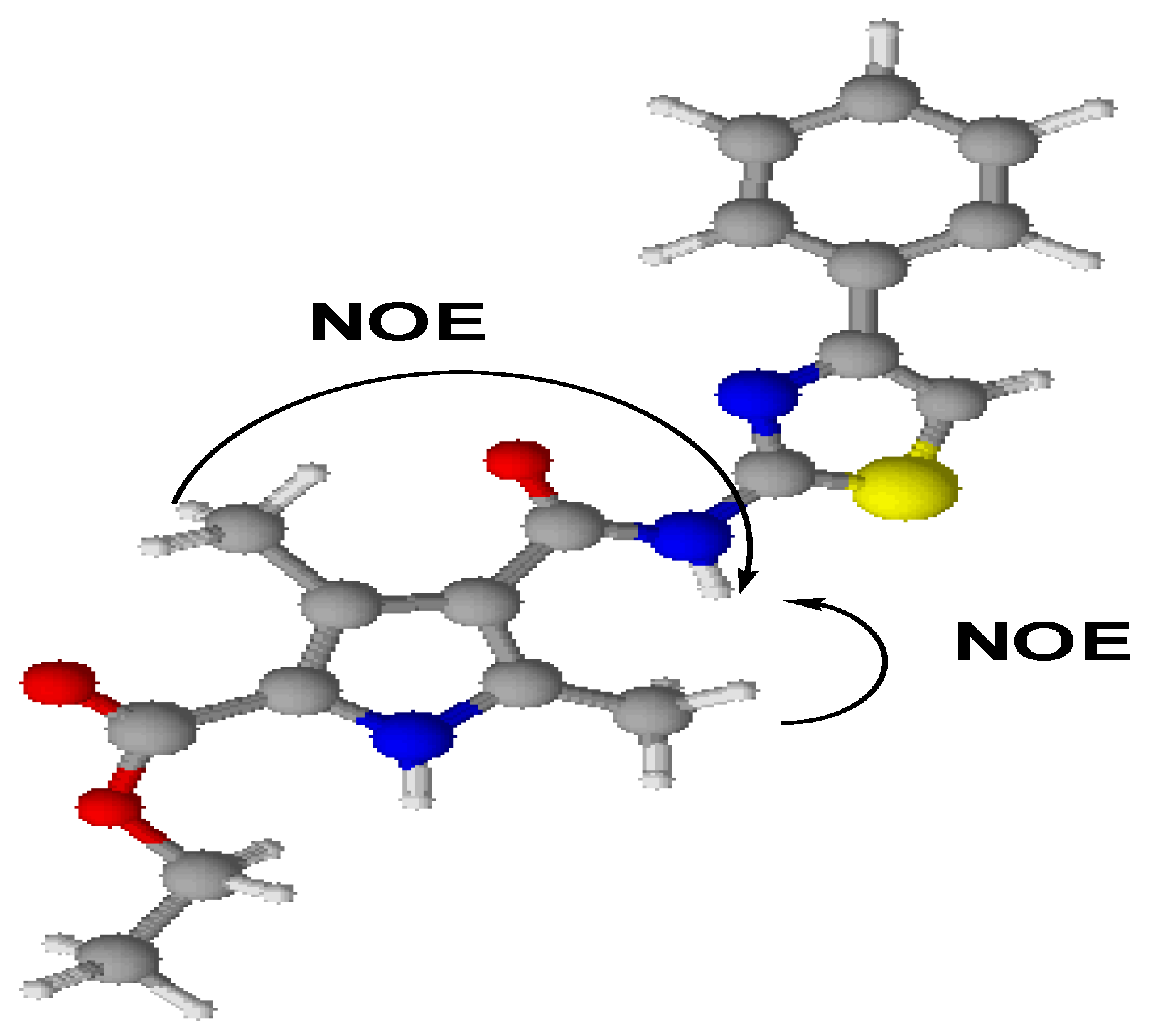Molbank 2010 m672 sch002