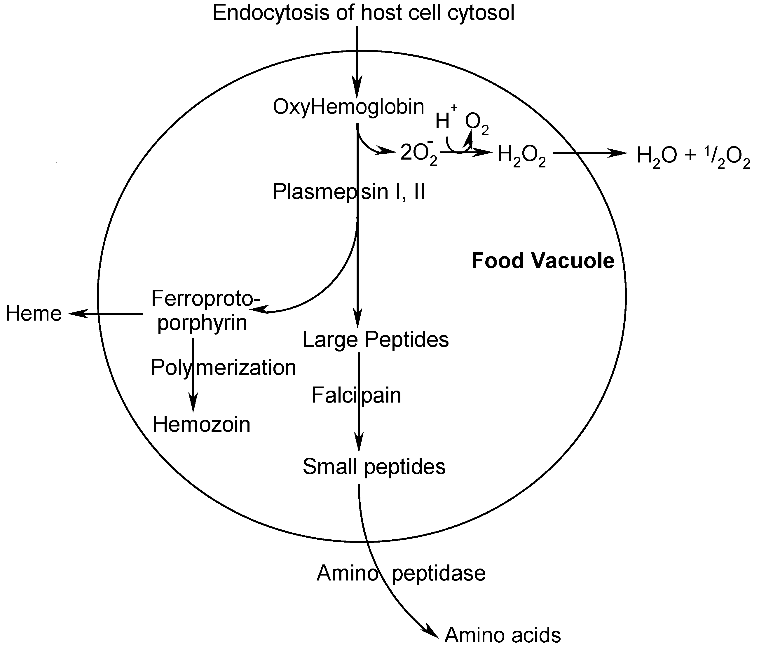 Molecules 08 00556 g001
