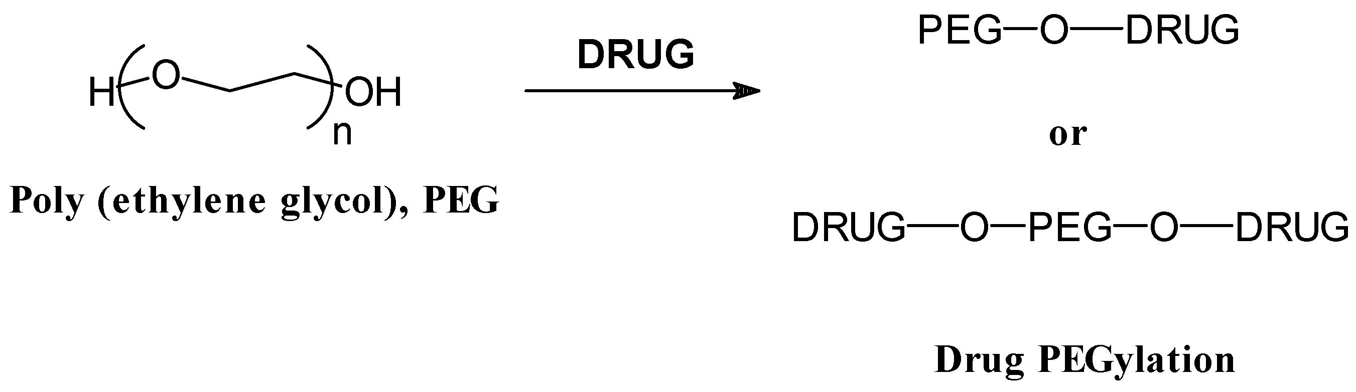 POLYMER DRUG CONJUGATES PDF DOWNLOAD POLYMER DRUG CONJUGATES PDF DOWNLOAD