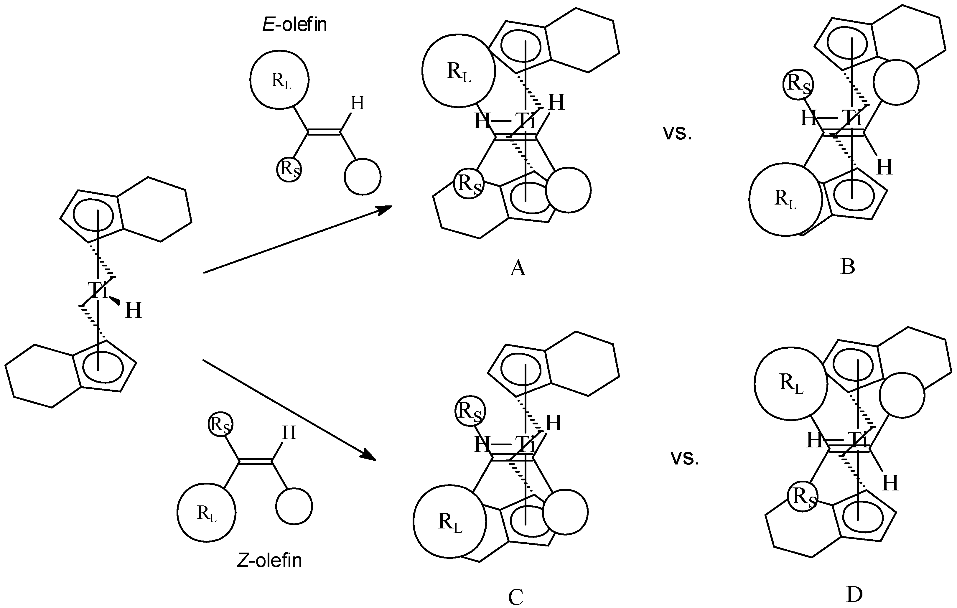 Molecules 10 00587 g008