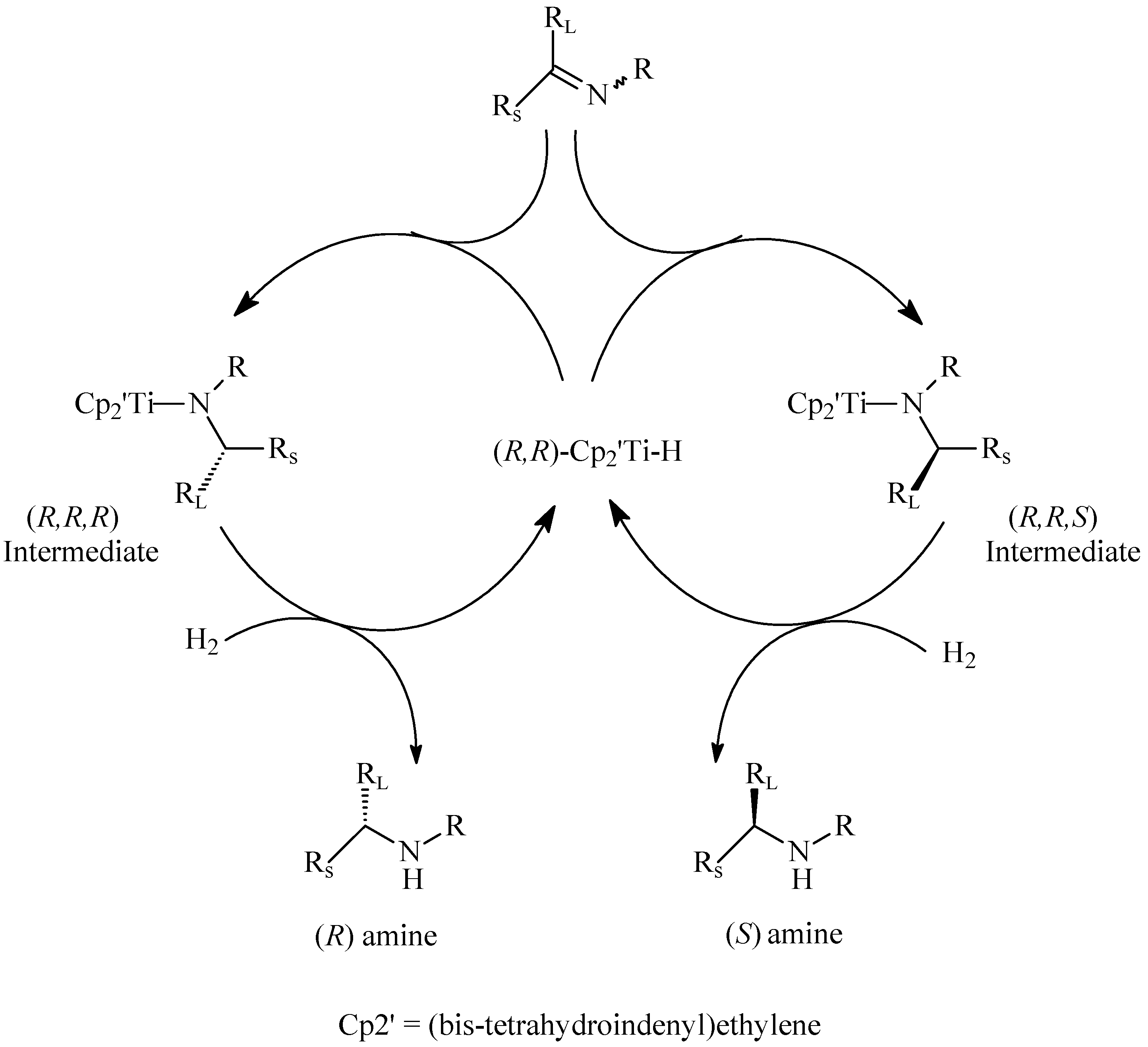 Molecules 10 00587 g009