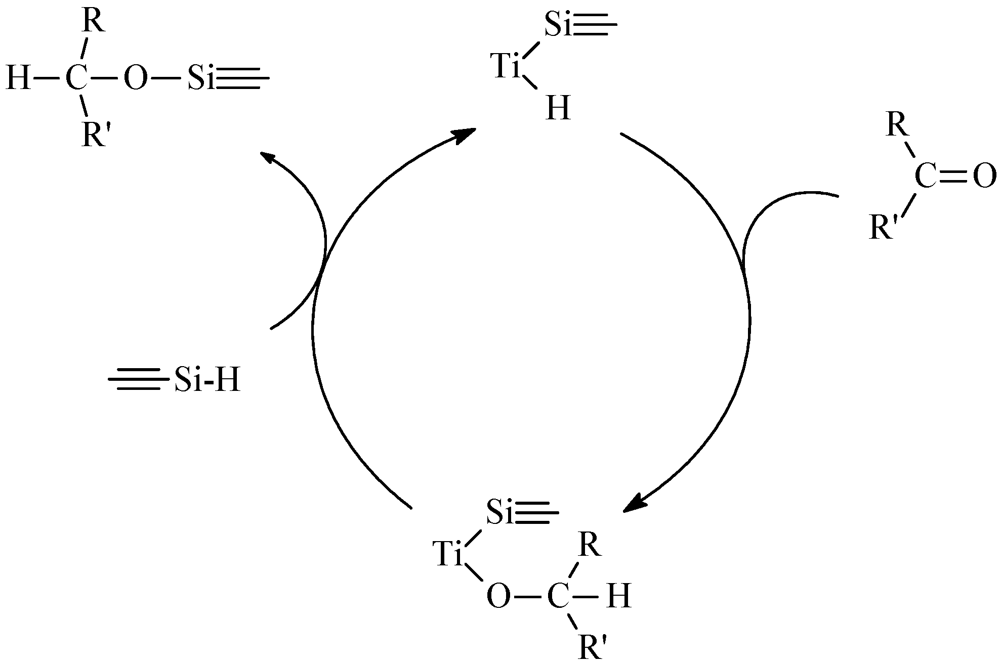 Molecules 10 00587 g013