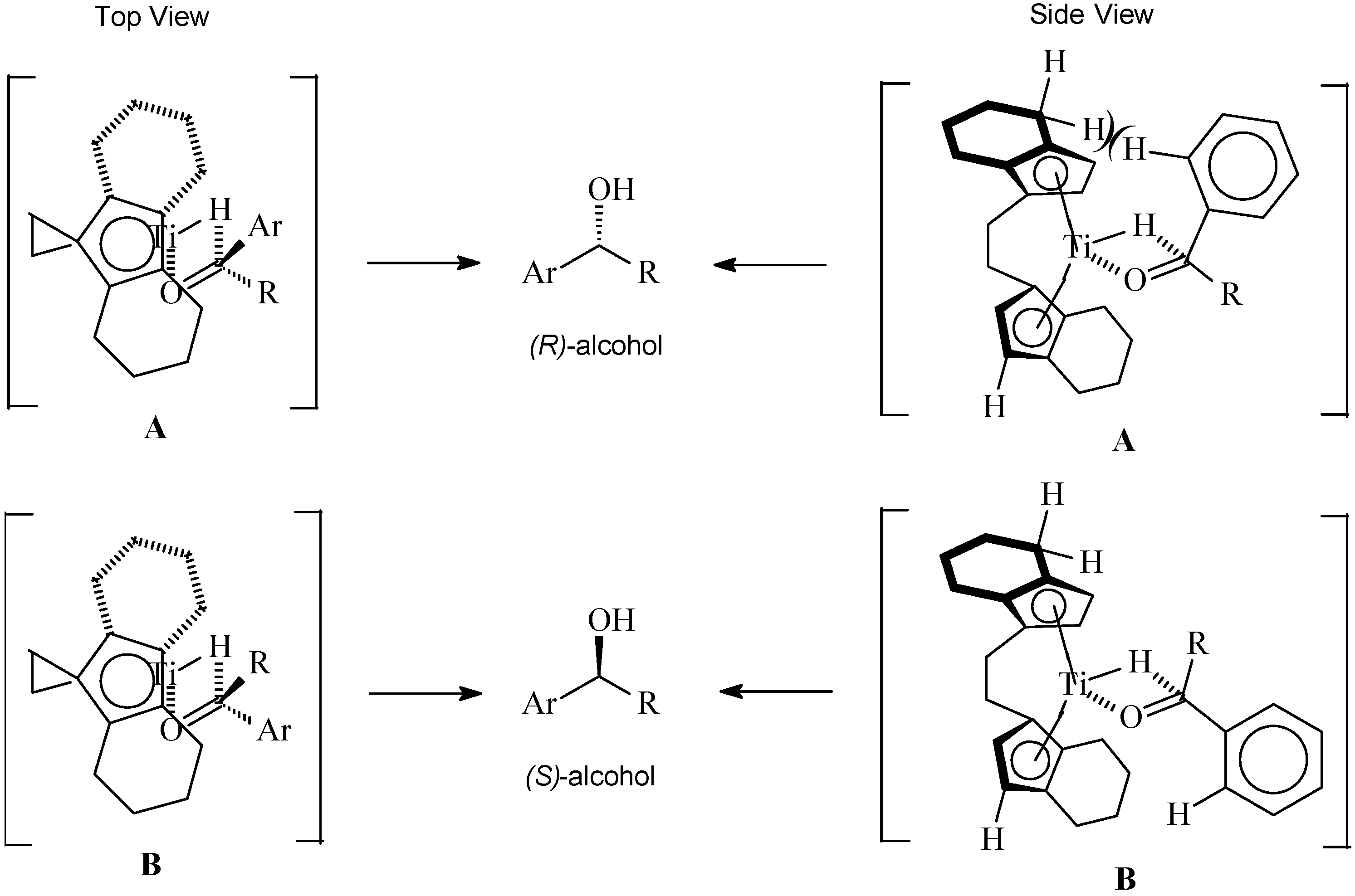 Molecules 10 00587 g014