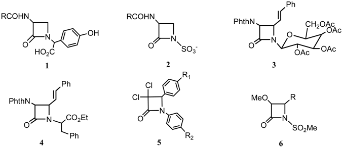 taxol semisynthesis taxol semisynthesis