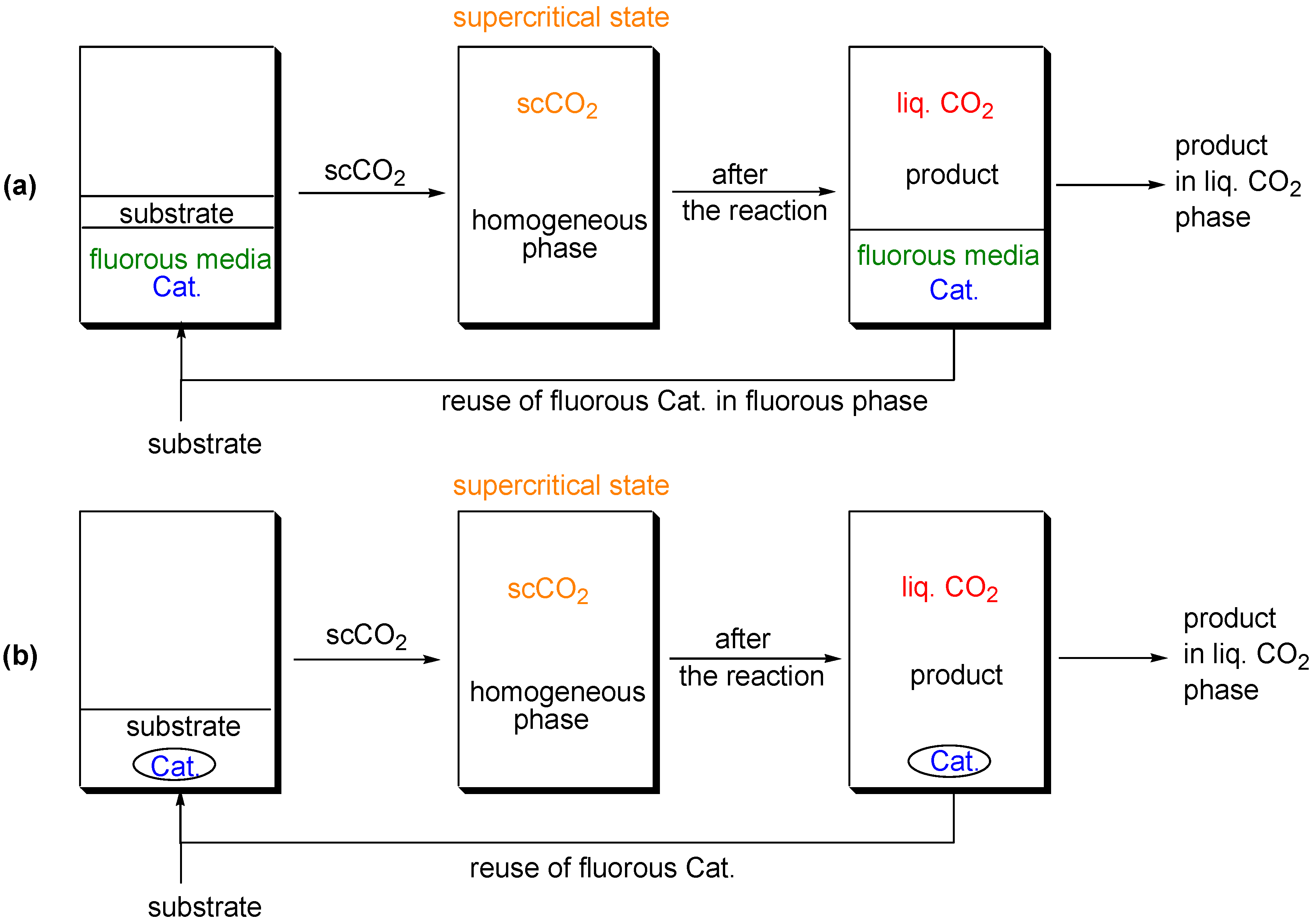 Molecules 11 00627 g005