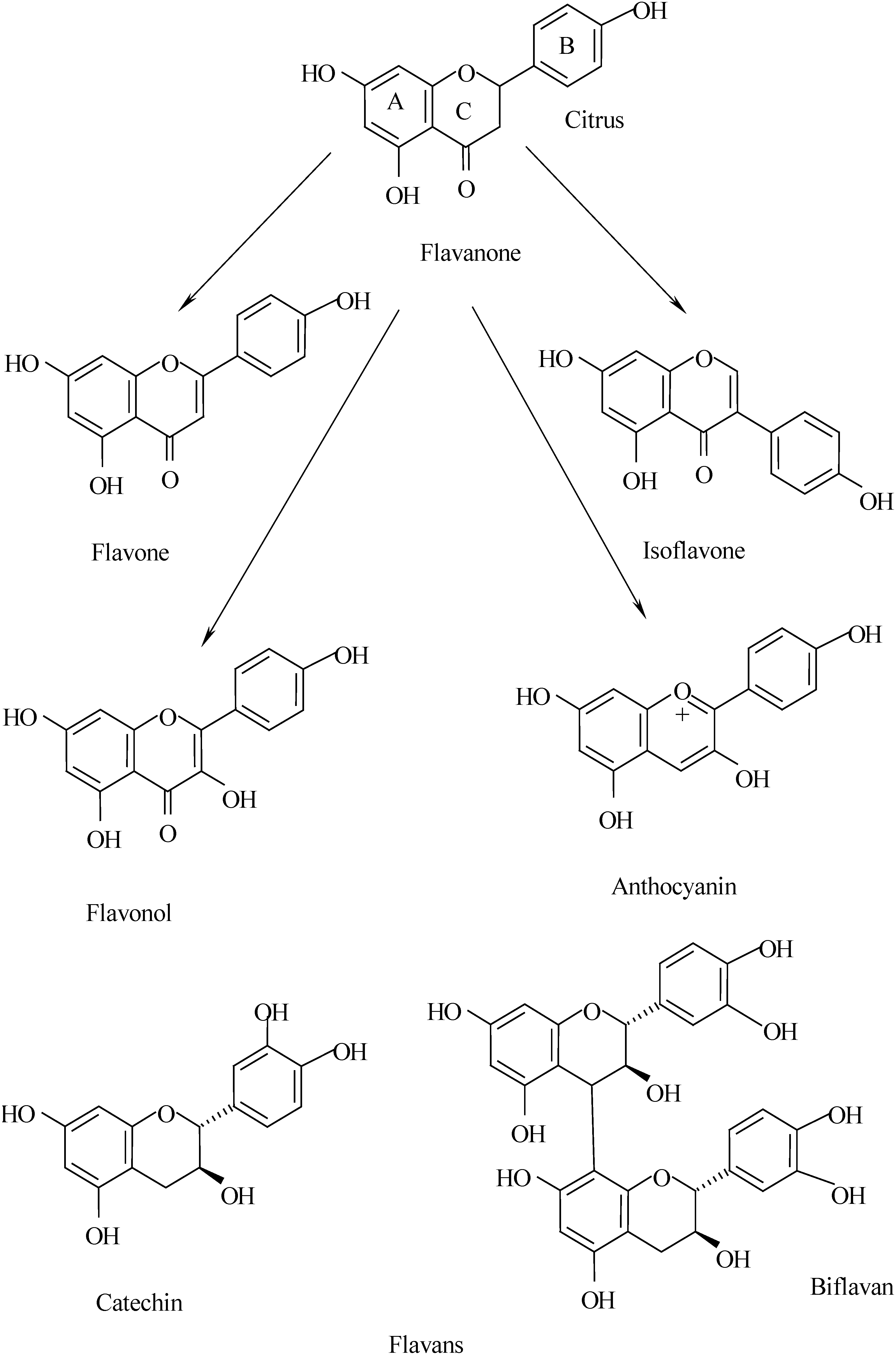 download geometry and complex