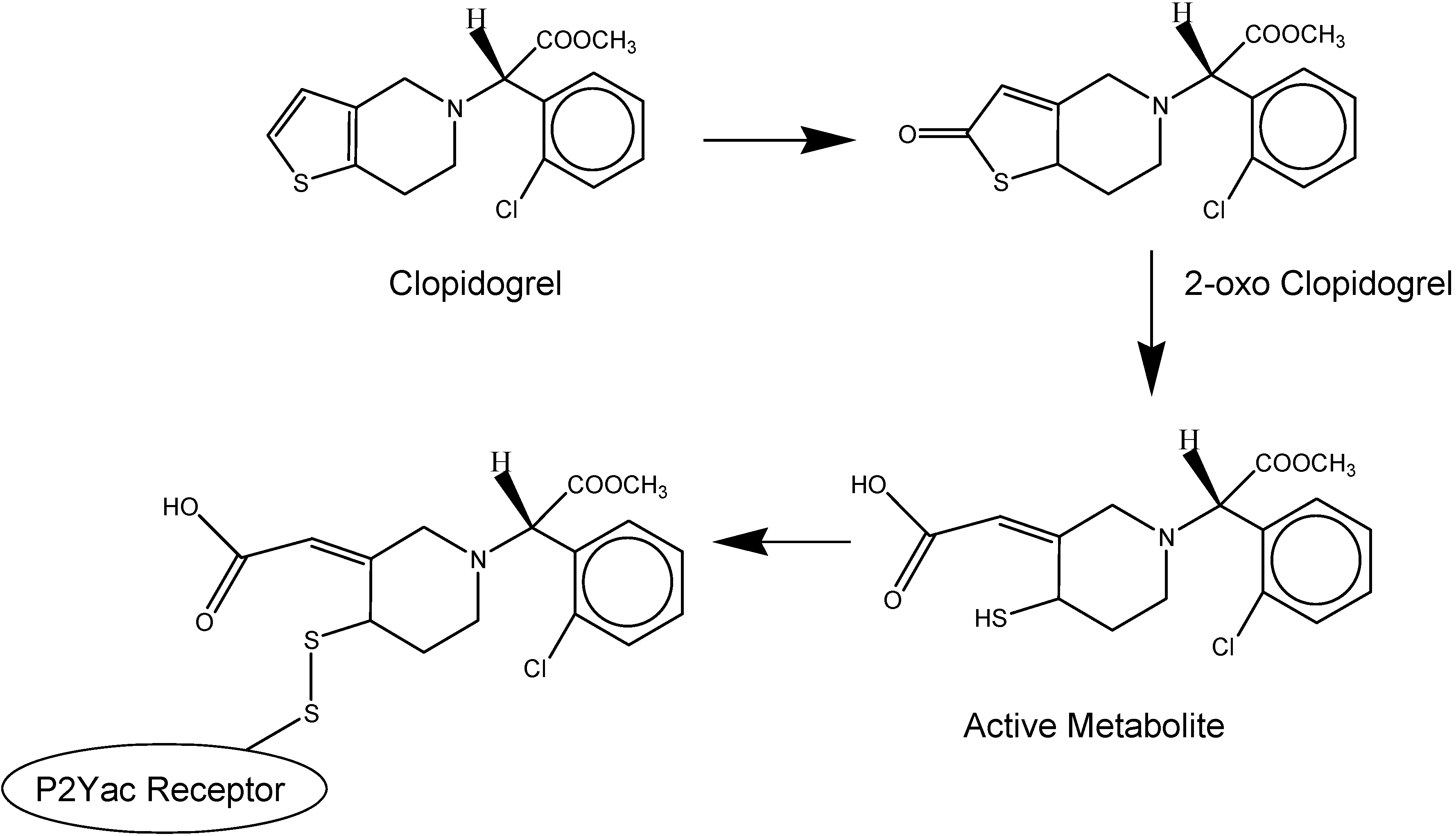 Molecules 13 01156 g004