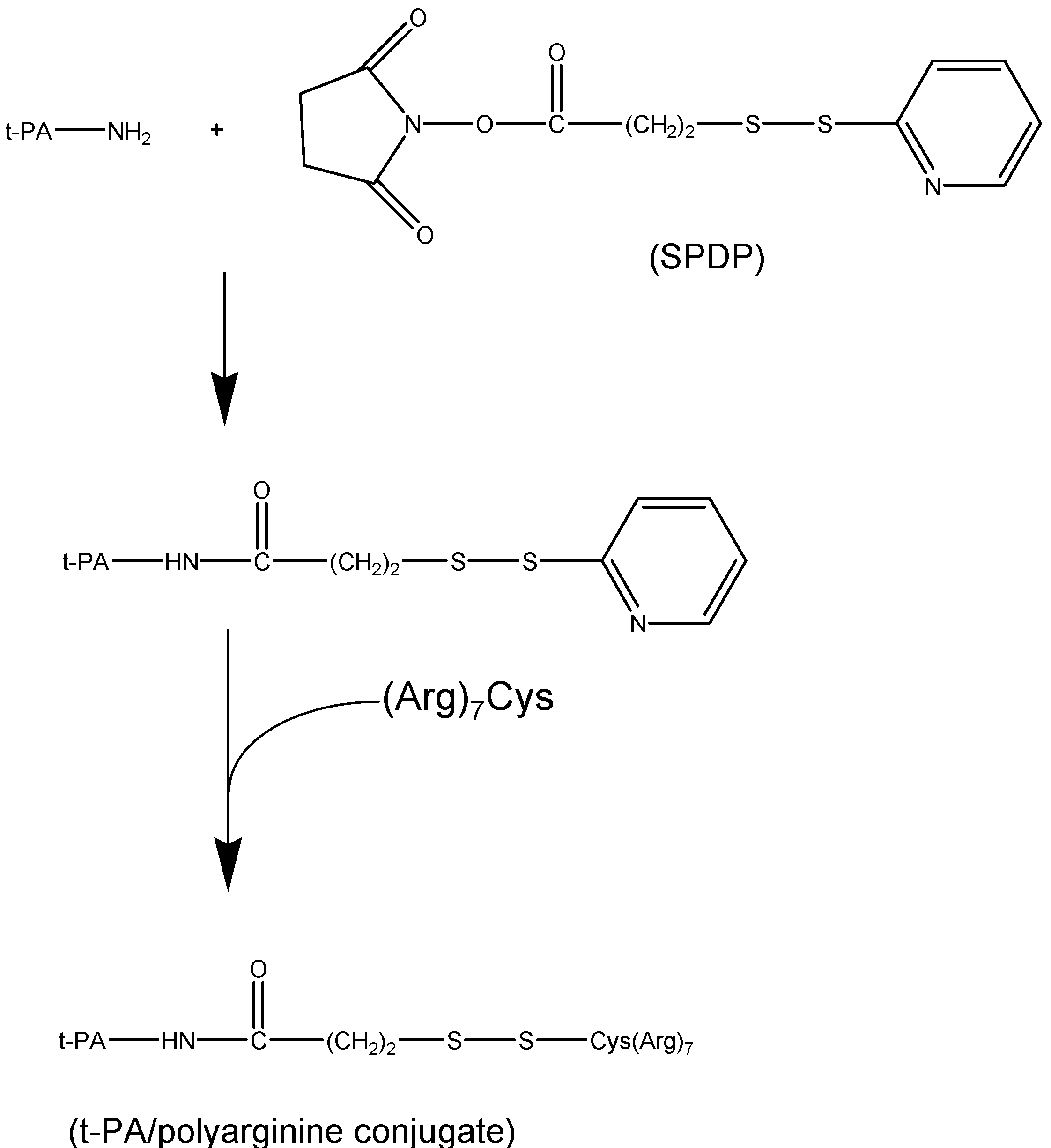 Molecules 13 01156 g011